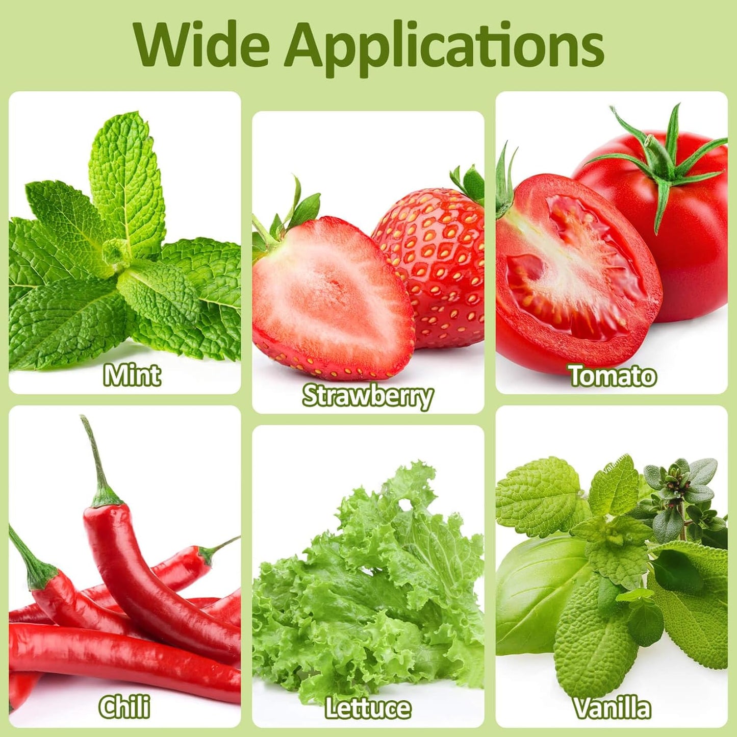 MAQIHAN 50 Grow Sponges for Hydroponics - Seed Pods for Garden Seed Starter Pods Growing System Plant for Seed Plugs Garden Cube Sponges Replacement