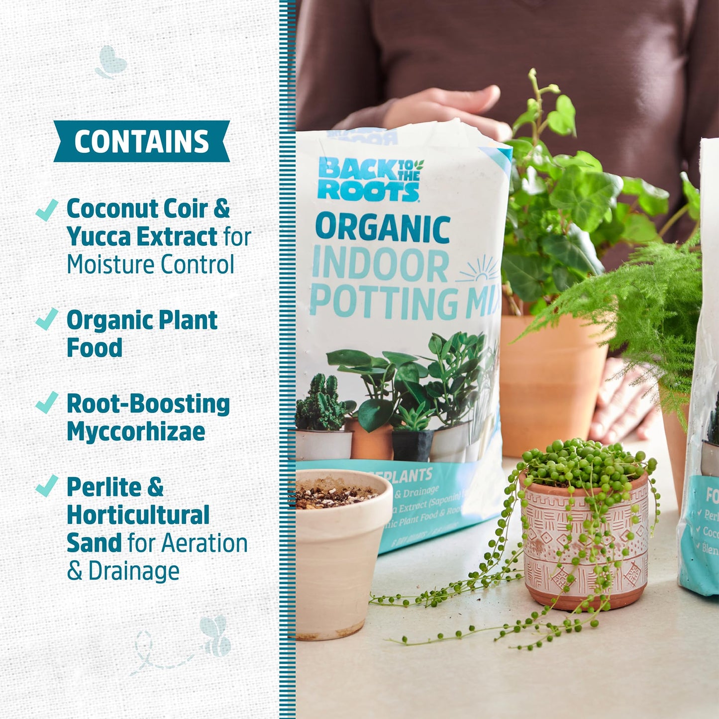 Back to the Roots 100% Organic Potting Mix (Value 12 Quart) | Premium Blend | Made in The USA