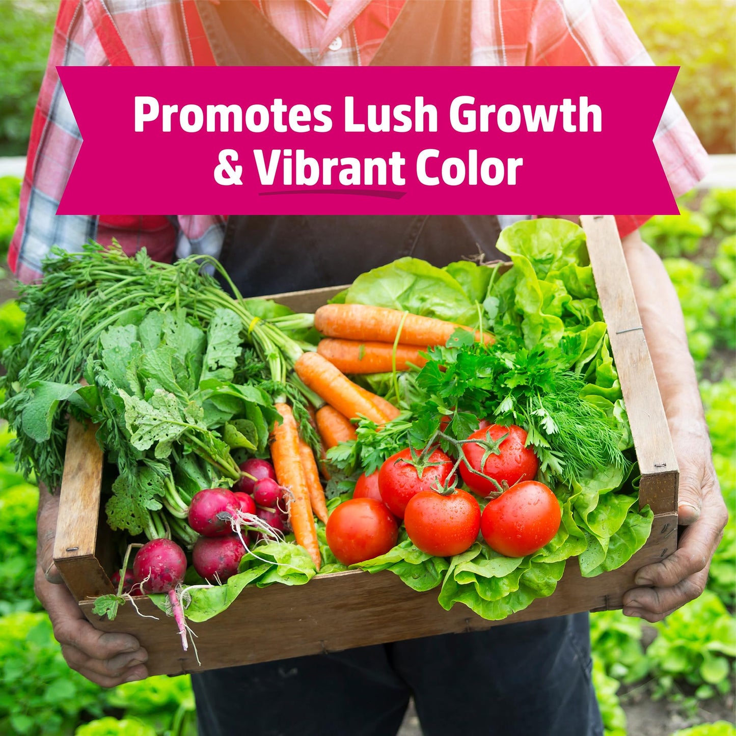 Back to the Roots Organic Worm Castings for Plants, Natural Fertilizer and Soil Enhancer for Gardening, Made in The USA, 5lb