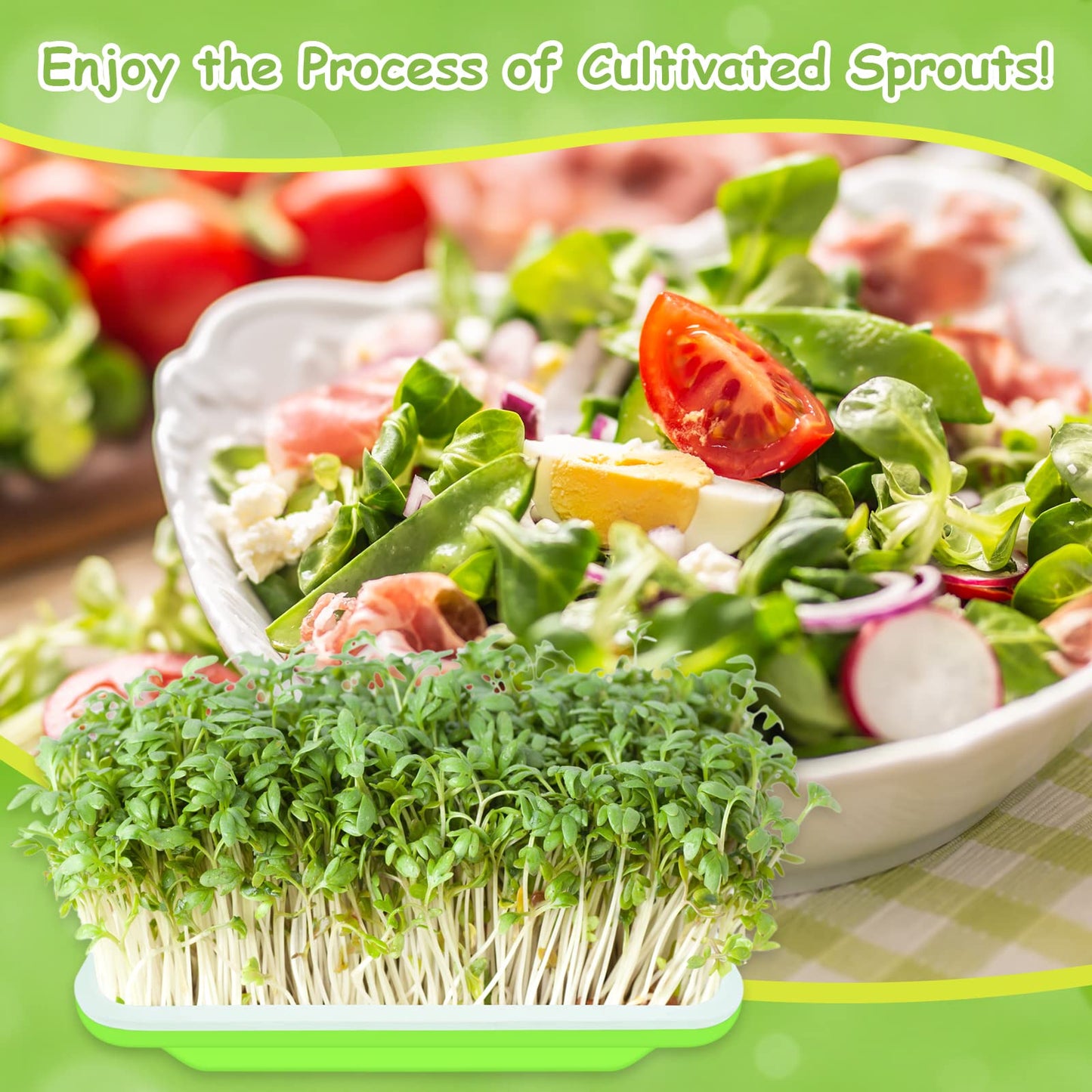 Legigo 10 Pack Green Seed Sprouter Trays- Soil-Free Cultivation Germination Tray, BPA Free Nursery Tray with Planting Paper for Indoors or Outdoors Sprouting Seeds, Grow Grass, Beans (Without Lids)