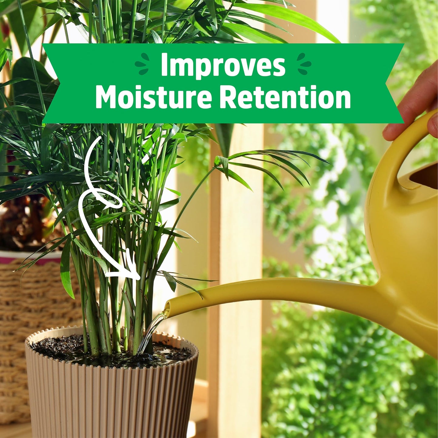 Back to the Roots Organic Worm Castings for Plants, Natural Fertilizer and Soil Enhancer for Gardening, Made in The USA, 5lb