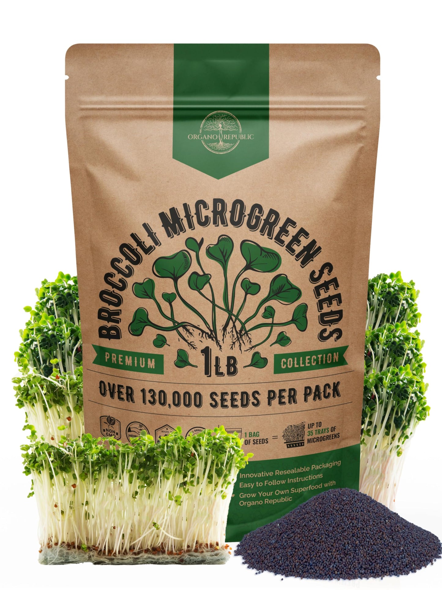 Organo Republic Arugula Sprouting & Microgreens Seeds - 55,000 Non-GMO Heirloom Seeds, Sprouts in 4 oz Resealable Bag for Planting & Growing Microgreens in Soil, Coconut Coir, Aeroponic & Hydroponic