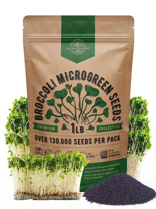 Organo Republic Arugula Sprouting & Microgreens Seeds - 55,000 Non-GMO Heirloom Seeds, Sprouts in 4 oz Resealable Bag for Planting & Growing Microgreens in Soil, Coconut Coir, Aeroponic & Hydroponic
