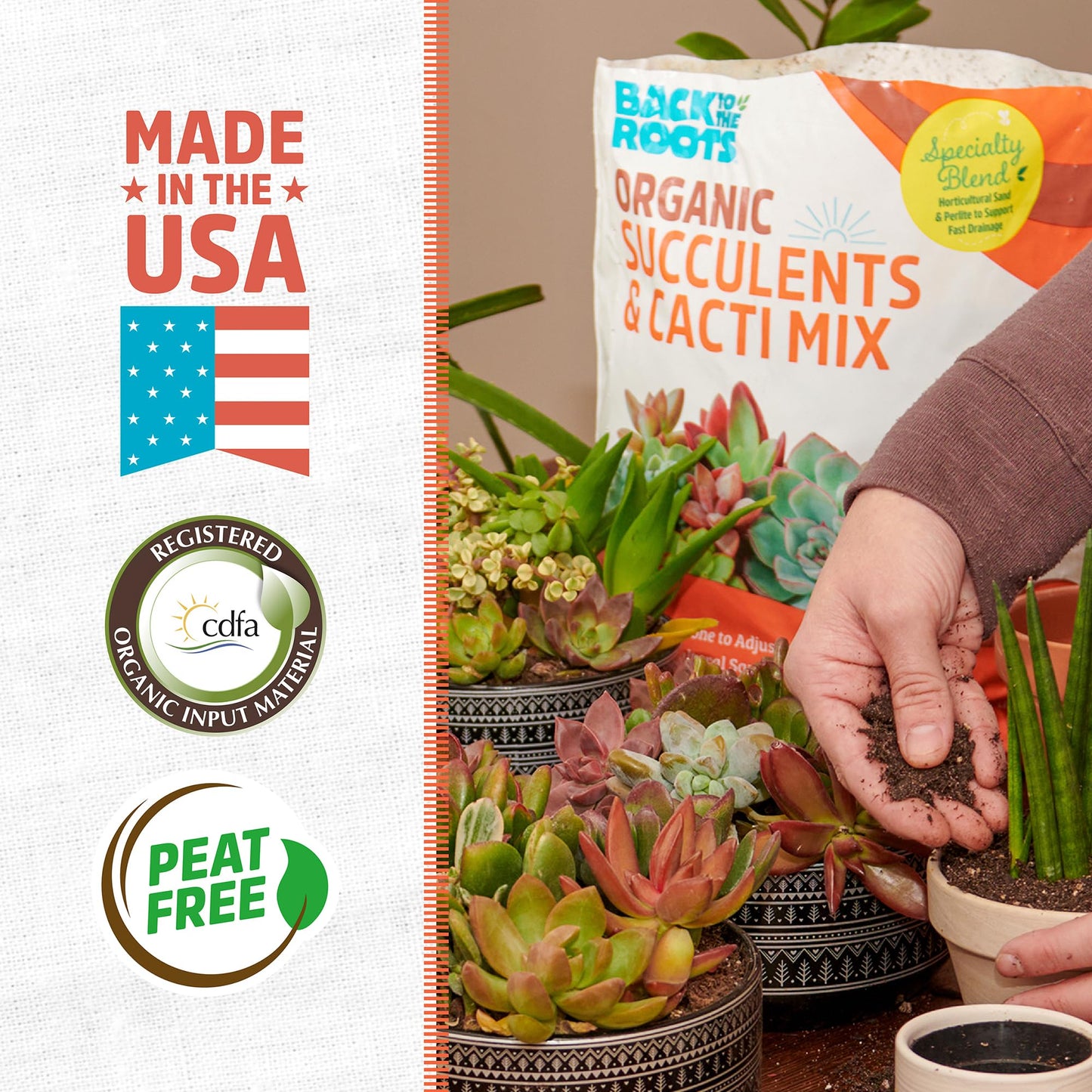 Back to the Roots 100% Organic Potting Mix (Value 12 Quart) | Premium Blend | Made in The USA