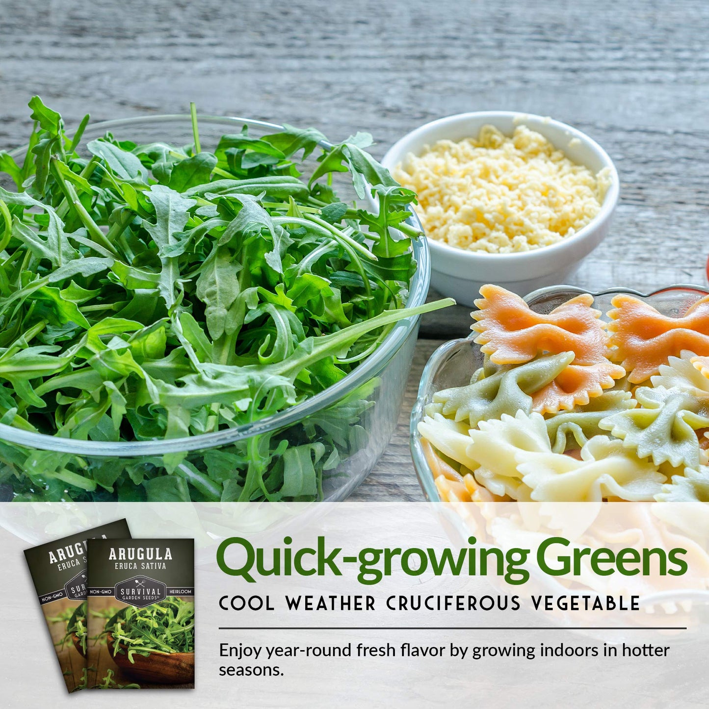 Survival Garden Seeds - Arugula Seeds for Planting - 2 Packs with Instructions to Grow Garden Rocket Green Leafy Vegetables in Your Home Vegetable Garden - Non-GMO Heirloom