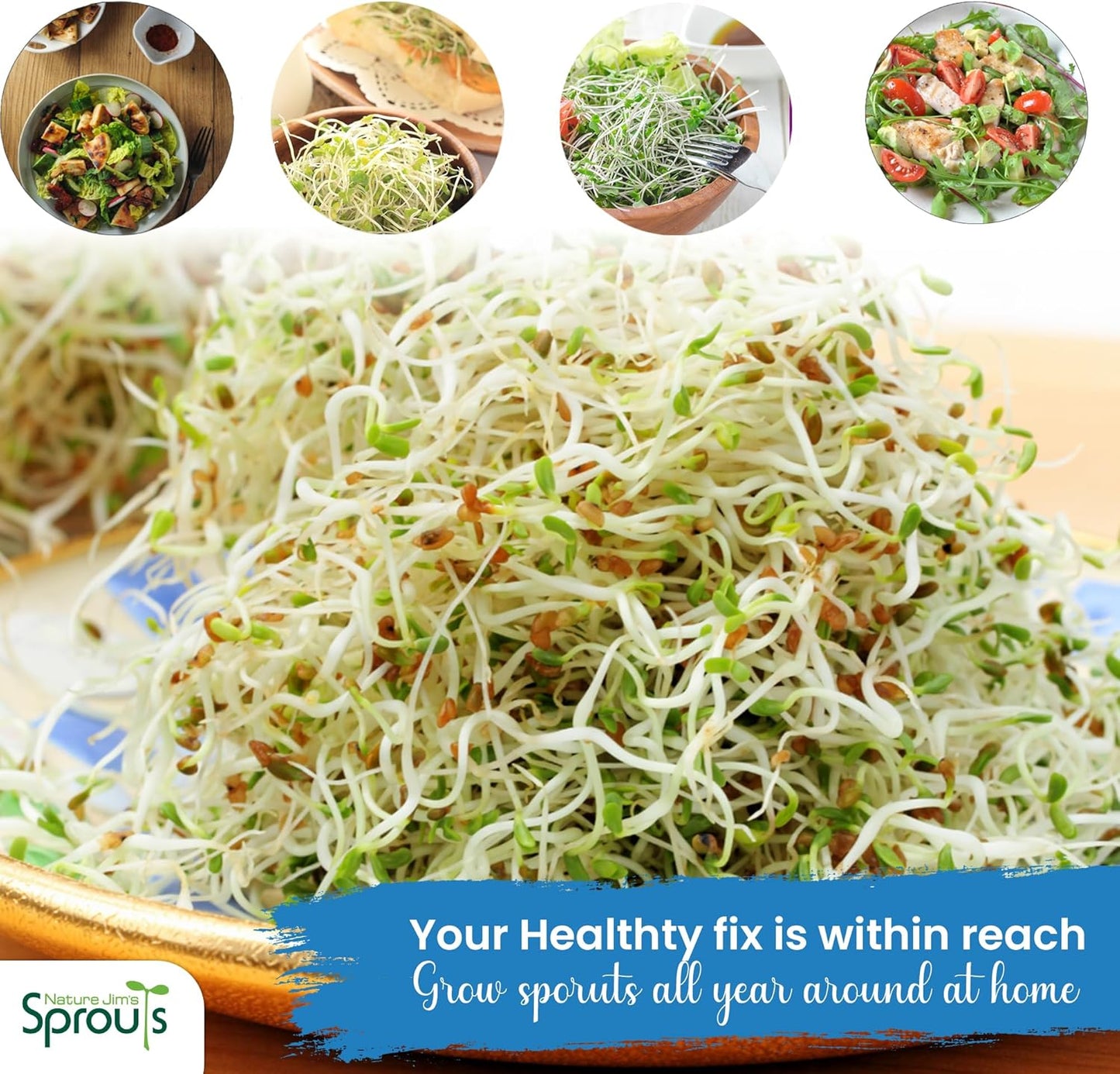 Nature Jims Sprouts Alfalfa Seeds – Non-GMO Organic Sprout Growing Kit for Planting – Premium Resealable Bag for Fresh Homegrown Sprouting Seeds – Rich in Nutrients, Vitamins, Fiber & Minerals – 16oz