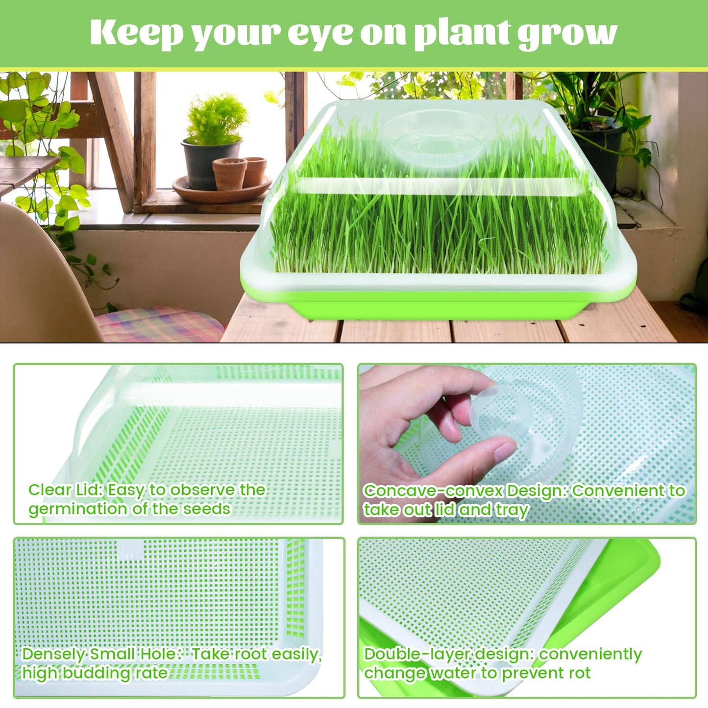 Legigo 10 Pack Green Seed Sprouter Trays- Soil-Free Cultivation Germination Tray, BPA Free Nursery Tray with Planting Paper for Indoors or Outdoors Sprouting Seeds, Grow Grass, Beans (Without Lids)