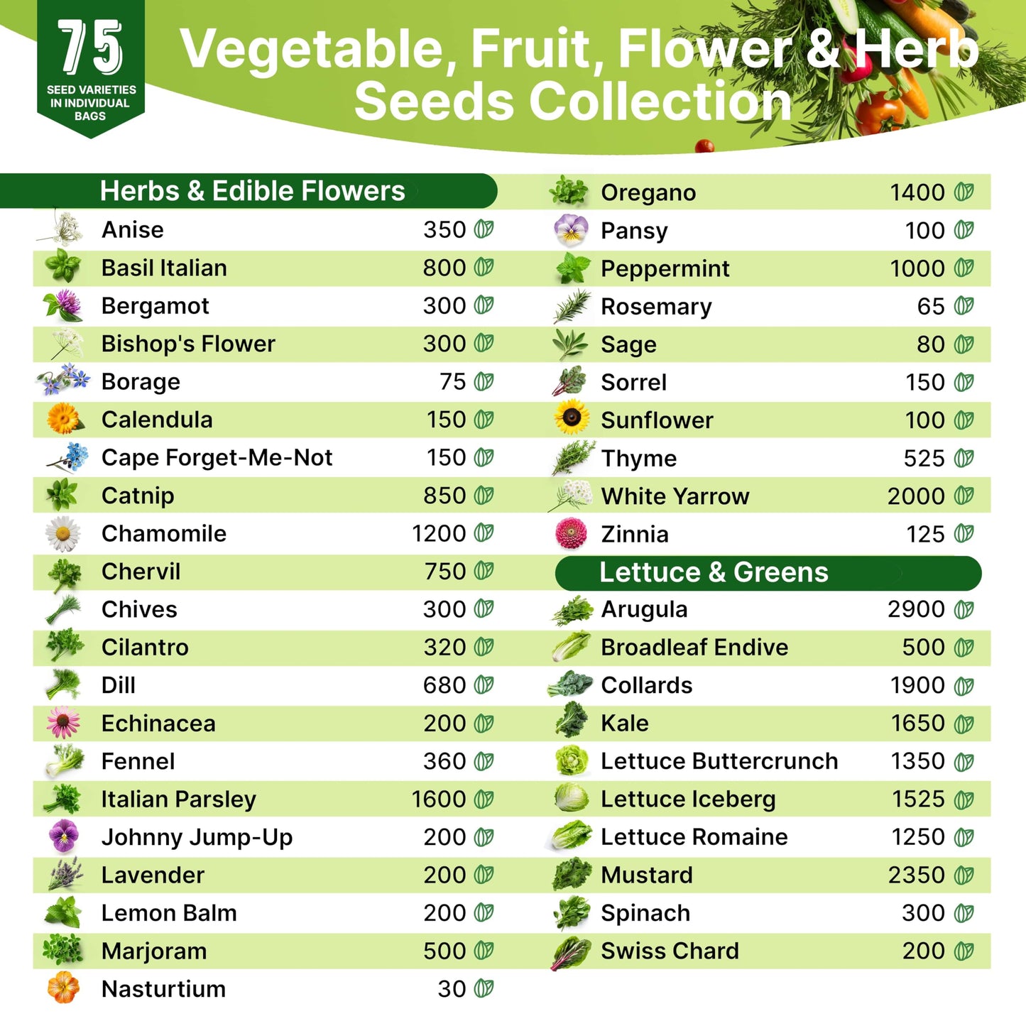 35 Medicinal & Tea Herb Seeds Variety Pack for Indoor & Outdoors. 16,335+ Non-GMO Heirloom Garden Seeds: Anise, Bergamot, Borage, Cilantro, Chamomile, Dandelion, Rosemary Seeds & More