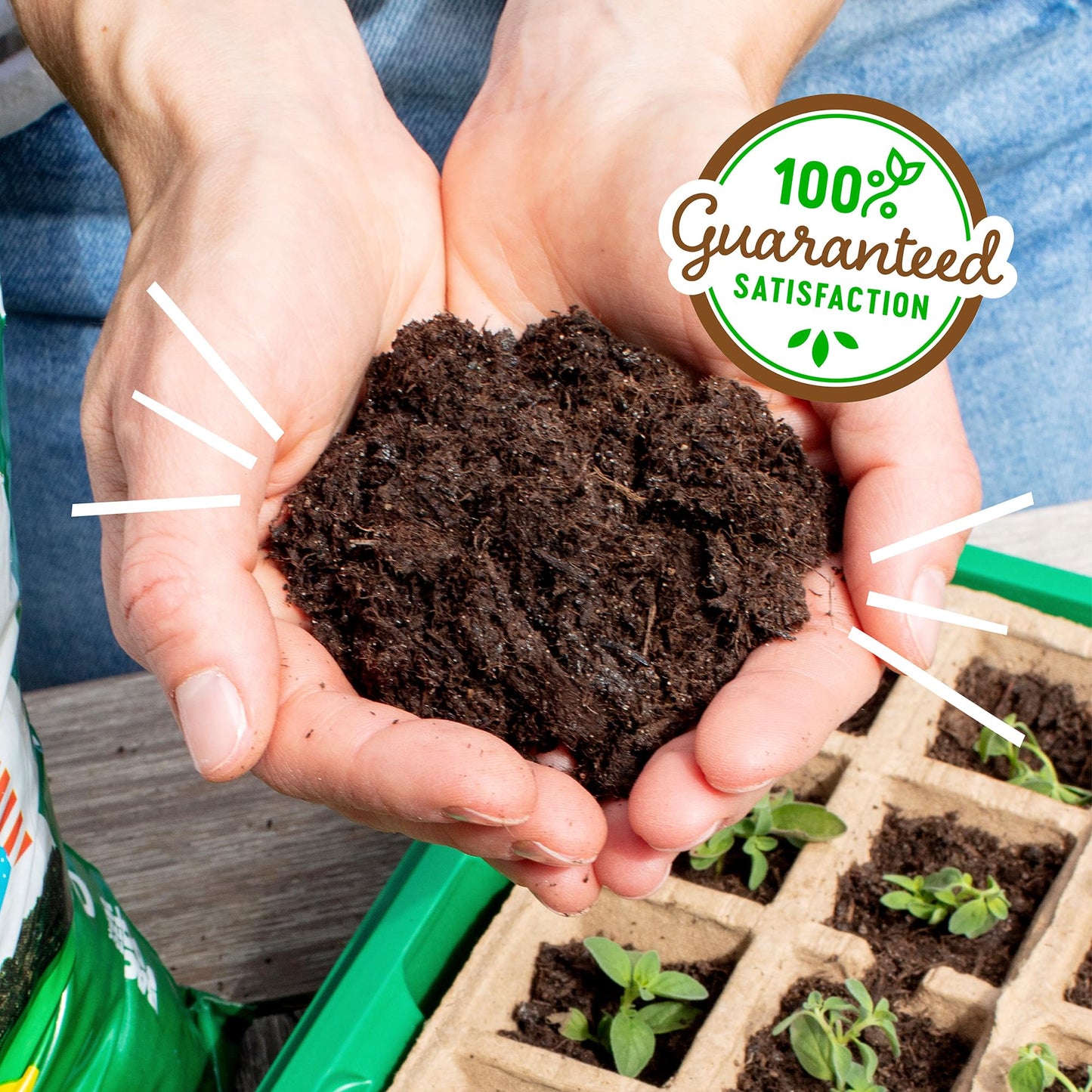 Back to the Roots 100% Organic Potting Mix (Value 12 Quart) | Premium Blend | Made in The USA