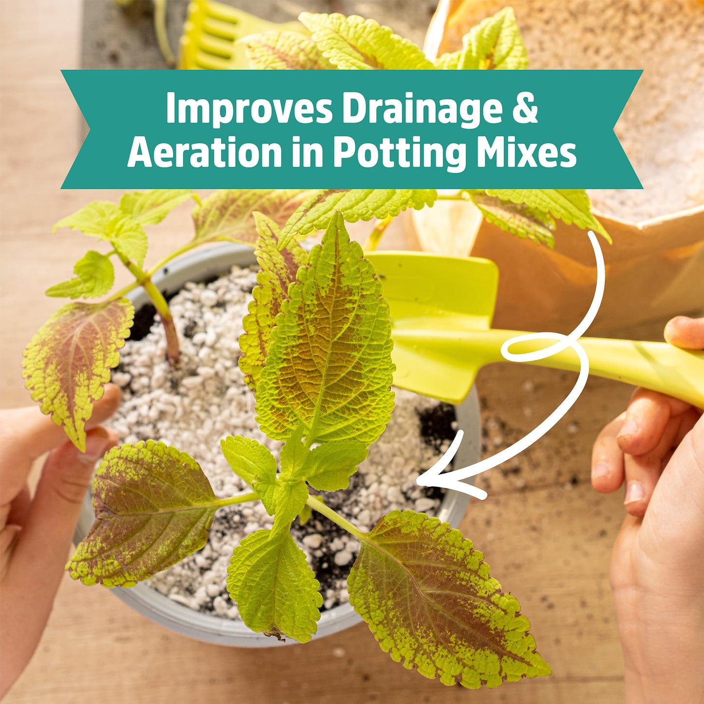 Back to the Roots Organic Worm Castings for Plants, Natural Fertilizer and Soil Enhancer for Gardening, Made in The USA, 5lb