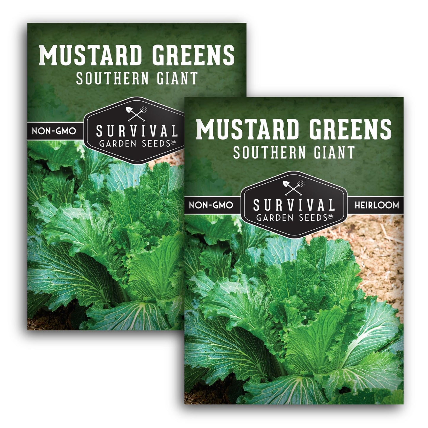 Southern Giant Mustard Green Seeds for Planting – Heirloom Non-GMO Spicy Greens, Heat Tolerant and Slow to Bolt for Home Vegetable Gardens - Survival Garden Seeds (2 Packs)