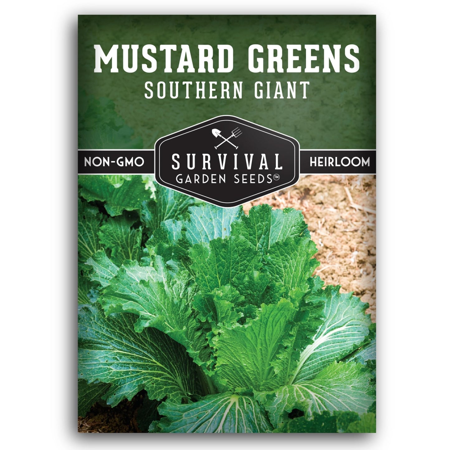 Southern Giant Mustard Green Seeds for Planting – Heirloom Non-GMO Spicy Greens, Heat Tolerant and Slow to Bolt for Home Vegetable Gardens - Survival Garden Seeds (2 Packs)
