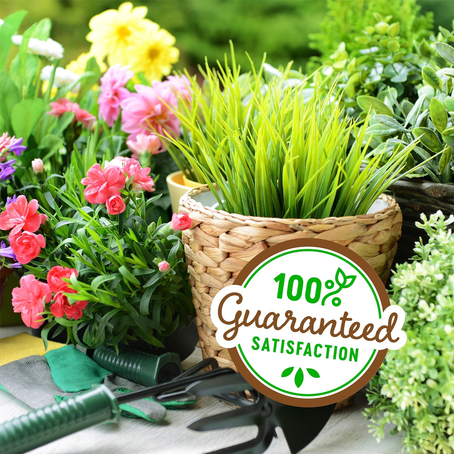 Back to the Roots Organic Worm Castings for Plants, Natural Fertilizer and Soil Enhancer for Gardening, Made in The USA, 5lb