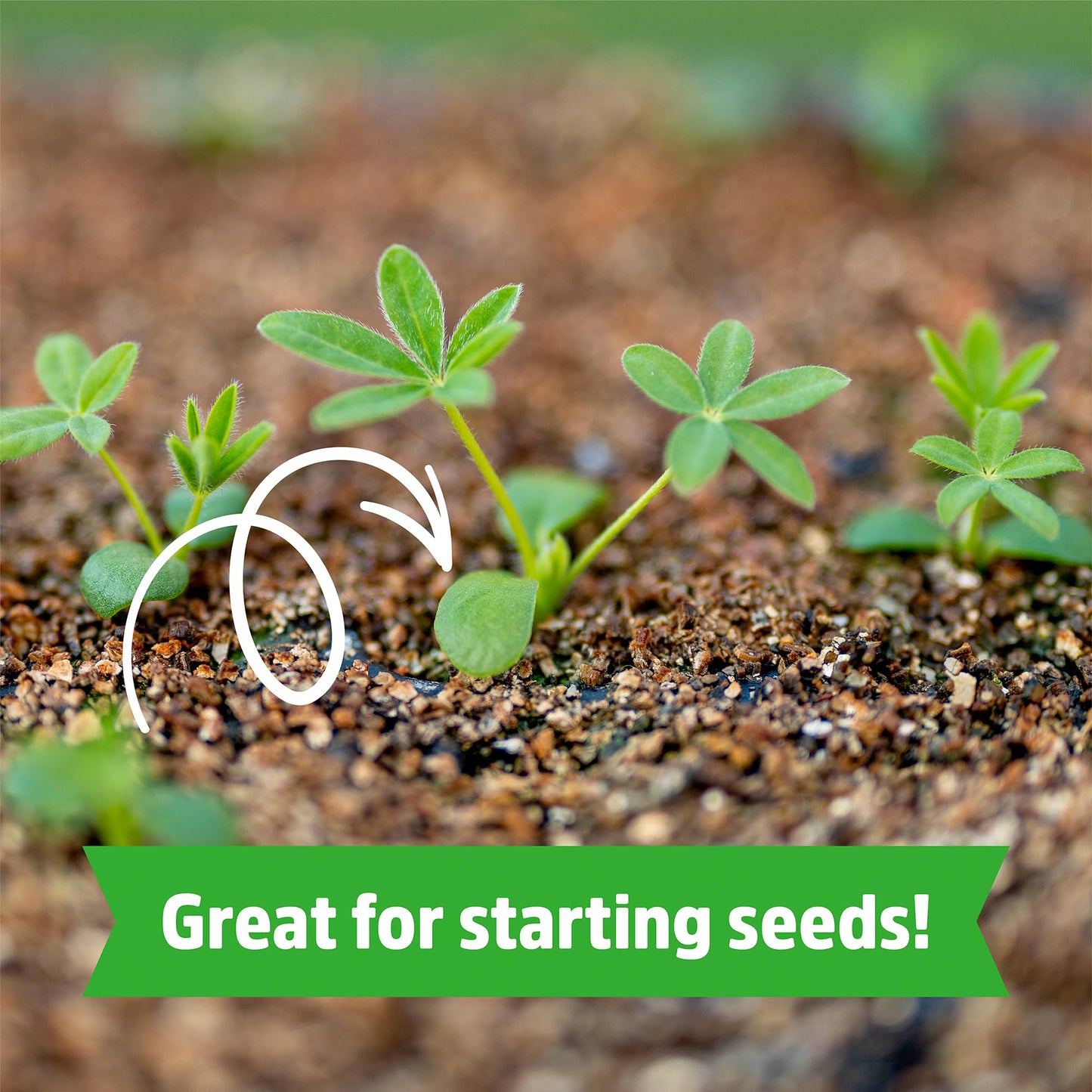 Back to the Roots Organic Worm Castings for Plants, Natural Fertilizer and Soil Enhancer for Gardening, Made in The USA, 5lb