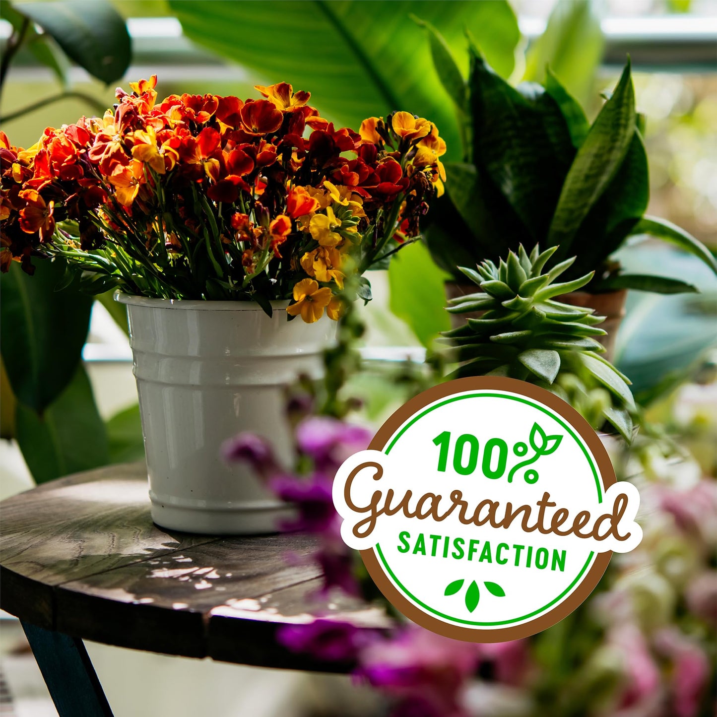 Back to the Roots Organic Worm Castings for Plants, Natural Fertilizer and Soil Enhancer for Gardening, Made in The USA, 5lb