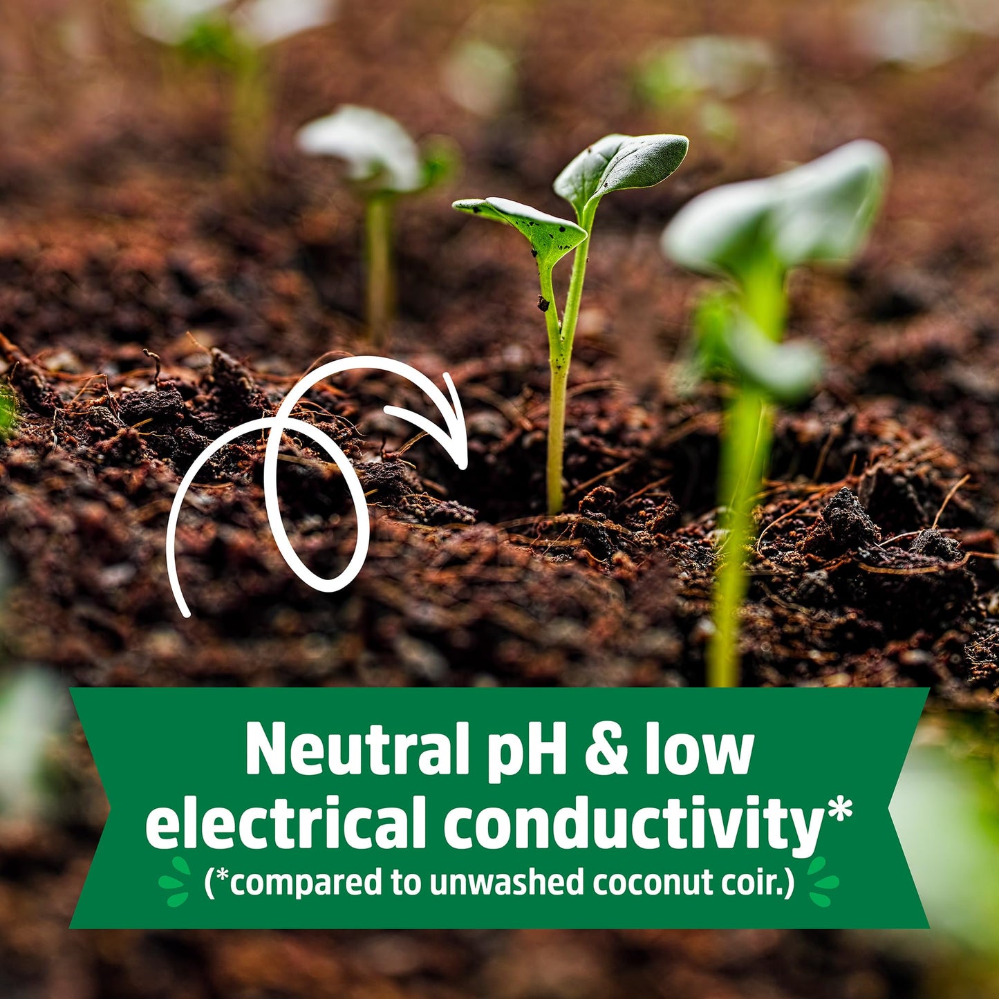 Back to the Roots 100% Organic Potting Mix (Value 12 Quart) | Premium Blend | Made in The USA