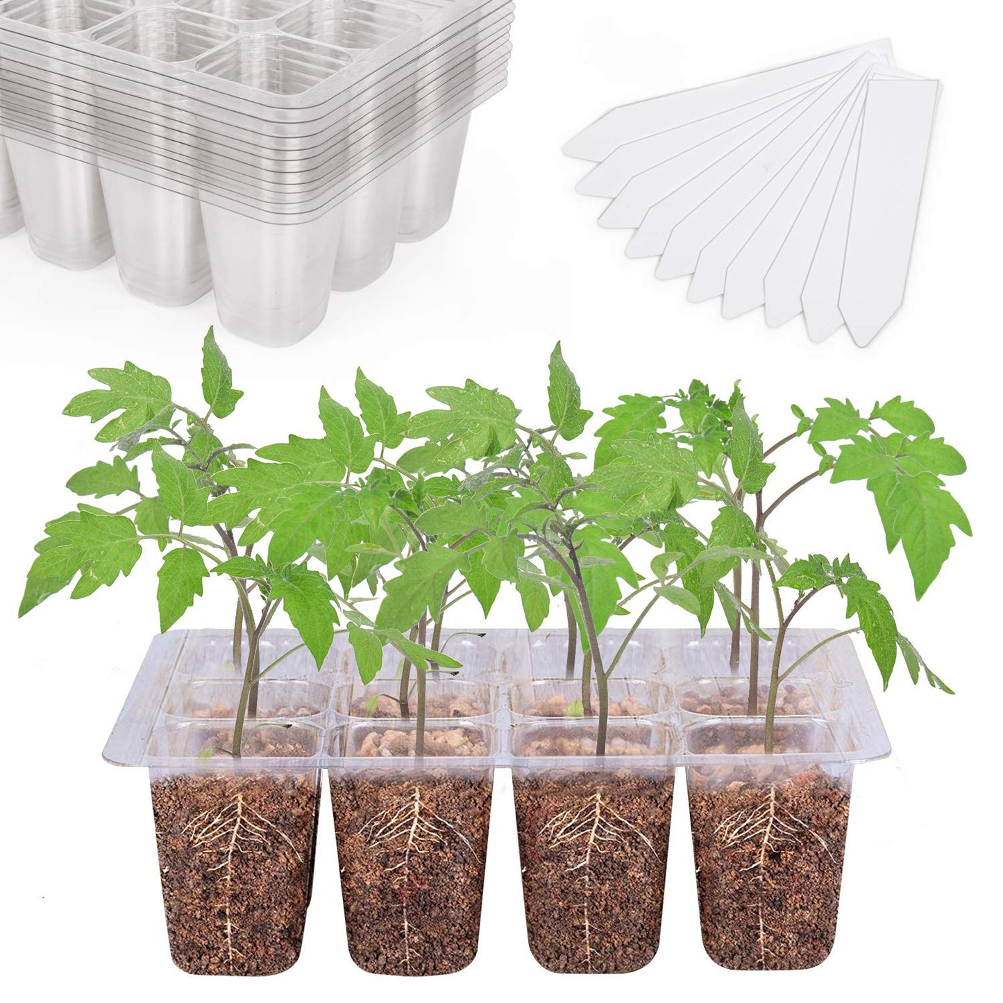Bonviee 5-Pack Seed Starter Trays, Seed Starter Kit with Adjustable Humidity Dome and Base Indoor Greenhouse Mini Propagator for Seeds Growing Starting (12 Cells Per Tray, Green)