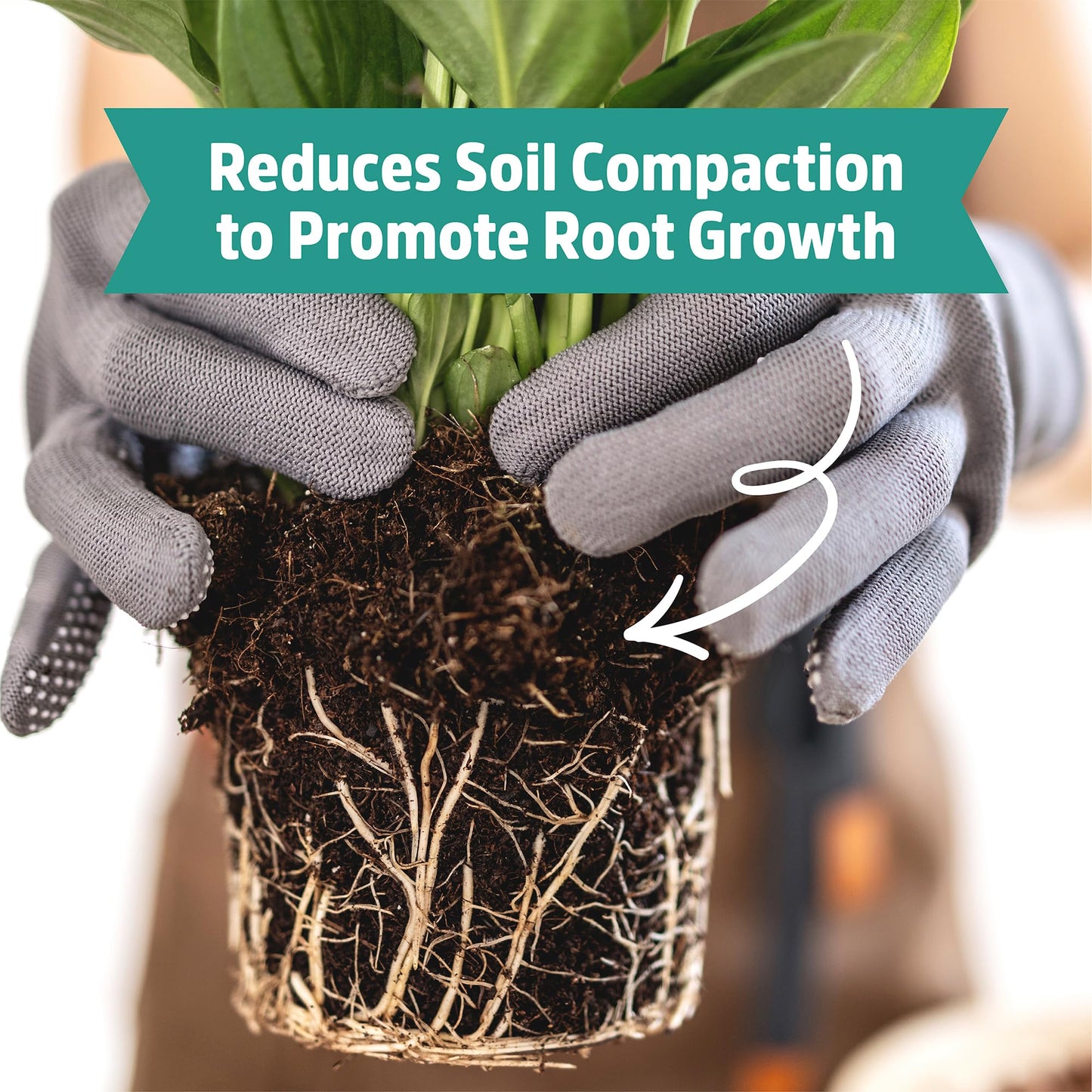 Back to the Roots Organic Worm Castings for Plants, Natural Fertilizer and Soil Enhancer for Gardening, Made in The USA, 5lb