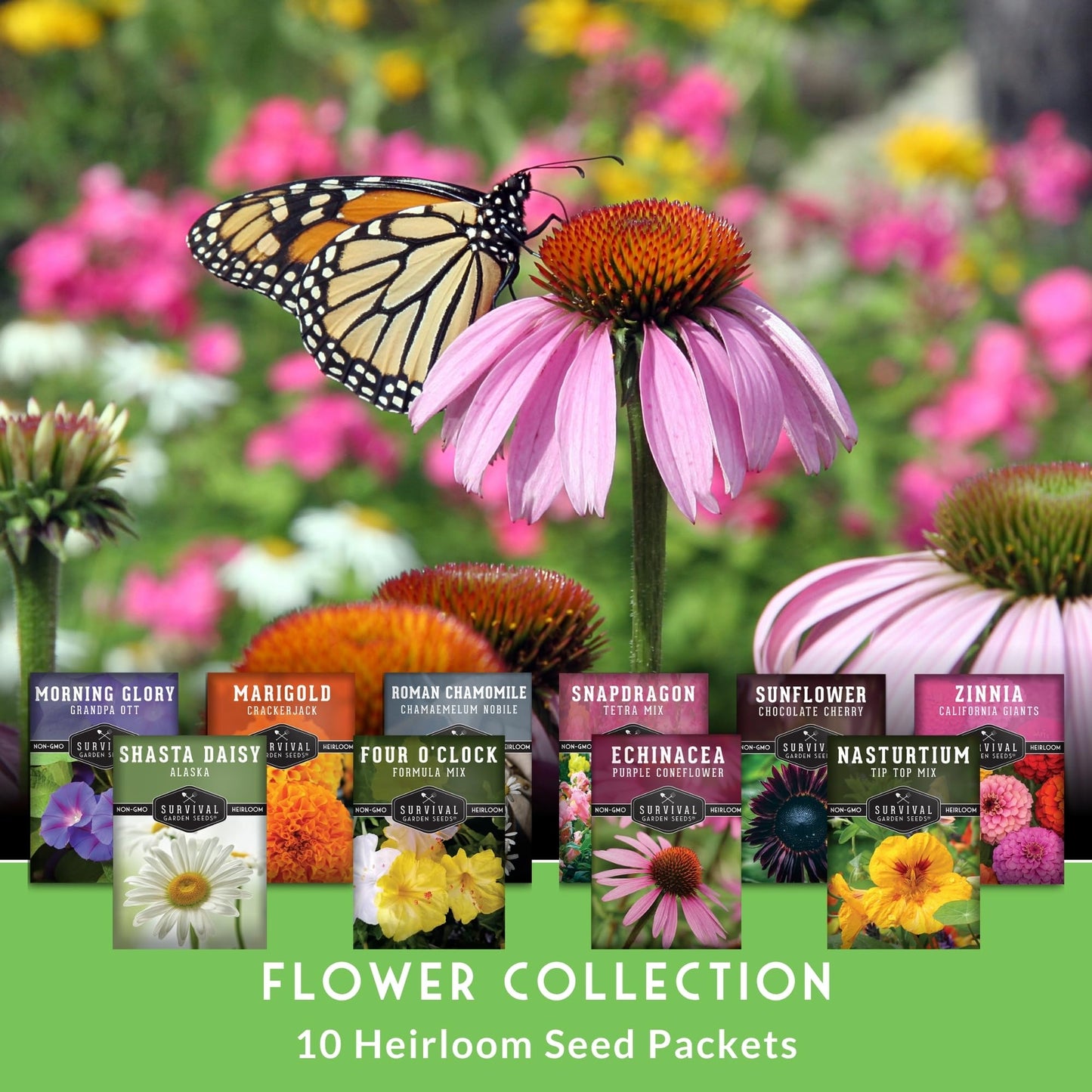 10 Flower Seed Collection for Planting | Zinnia, Sunflower, Marigold, Snapdragon, Nasturtium, Morning Glory, Chamomile, Shasta Daisy, Purple Coneflower, Four O’Clock - Survival Garden Seeds