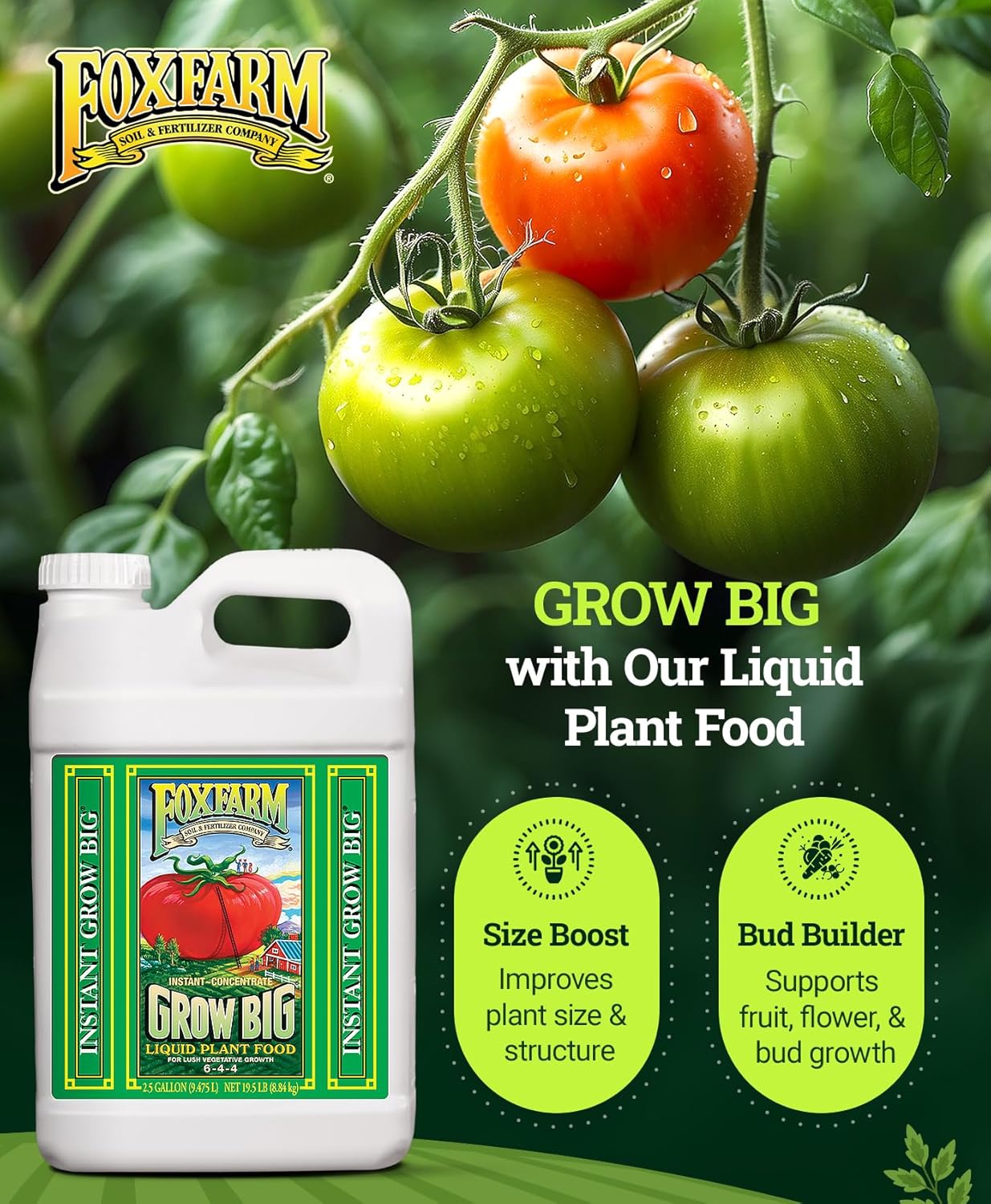 FoxFarm Grow Big Liquid Plant Food - Bloom Fertilizer for Flowers, Fruits, and Vegetables, Perfect for Indoor & Outdoor Potted Plants, NPK 6-4-4 (Pint)