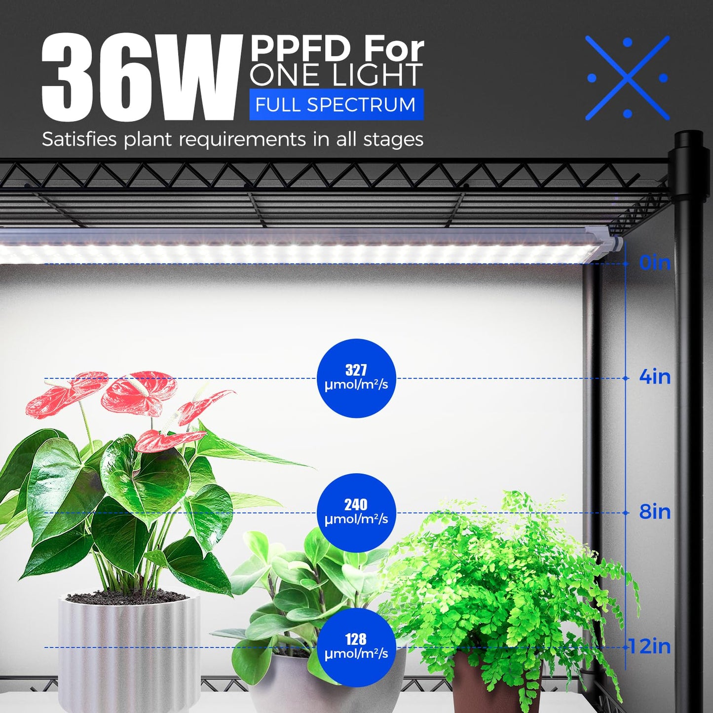 Barrina CX3Z Indoor Greenhouse with Grow Light, 4-Tier Metal Plant Stand with Zippered EVA Cover and Wheels, LED Full Spectrum 3FT 36W(per Light) Plant Growing Lamp with Timer, 35.4"x13.8"x70.9"