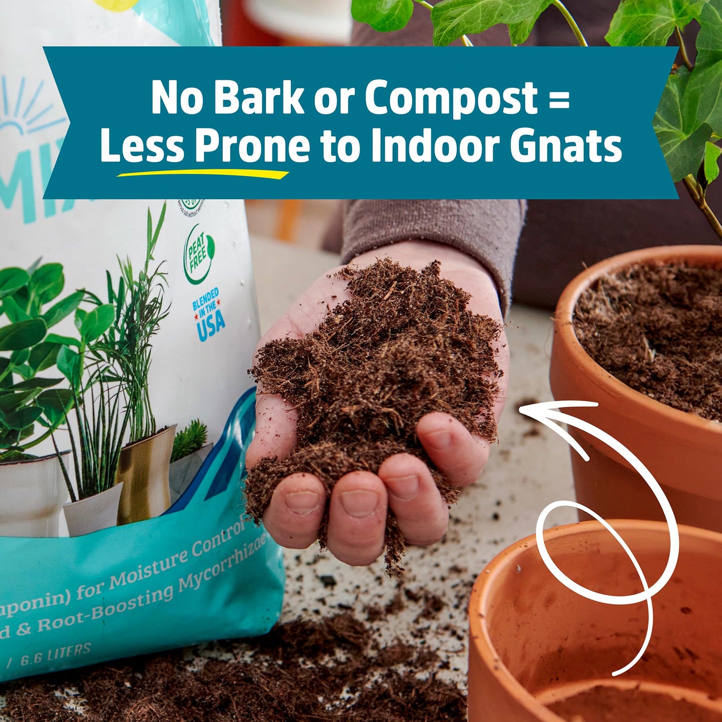 Back to the Roots 100% Organic Potting Mix (Value 12 Quart) | Premium Blend | Made in The USA