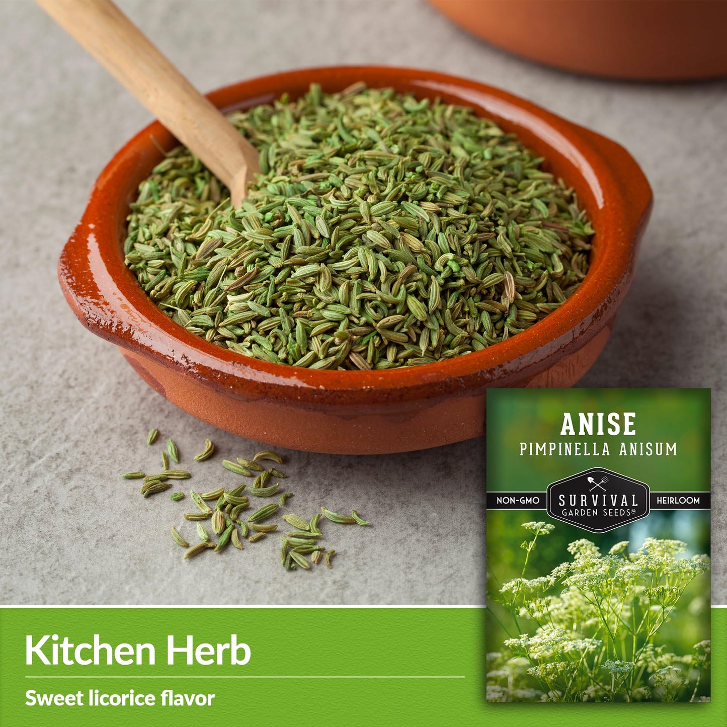 1 Pack Anise Seed for Planting with Instructions to Grow Aniseed in Your Home Herb Garden - Non-GMO Heirloom - Medicinal and Culinary - Unique Plant Seeds - Survival Garden Seeds