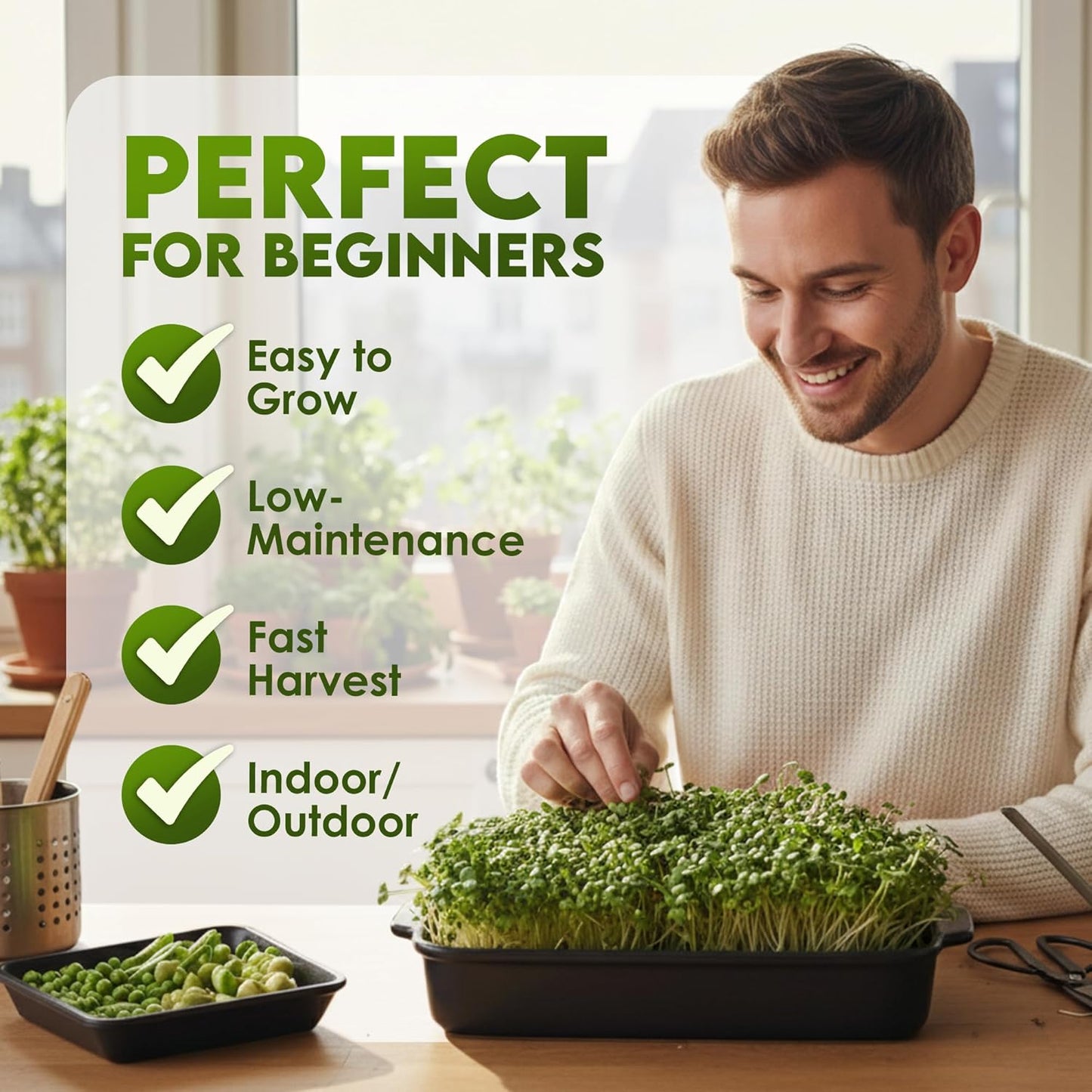 Nature Jims Sprouts Organic Broccoli Seeds for Sprouting – Certified Non-GMO, Rich in Sulforaphane, Swift-Growing Microgreen Seeds for Nutritious Broccoli Sprouts – Ideal for Indoor/Outdoor Use – 8oz