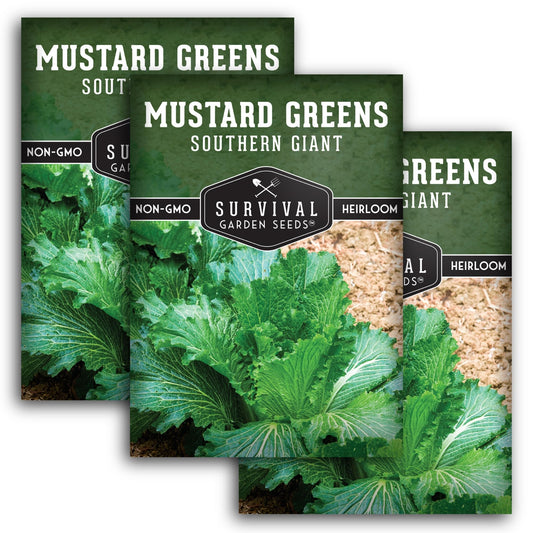 Southern Giant Mustard Green Seeds for Planting – Heirloom Non-GMO Spicy Greens, Heat Tolerant and Slow to Bolt for Home Vegetable Gardens - Survival Garden Seeds (2 Packs)