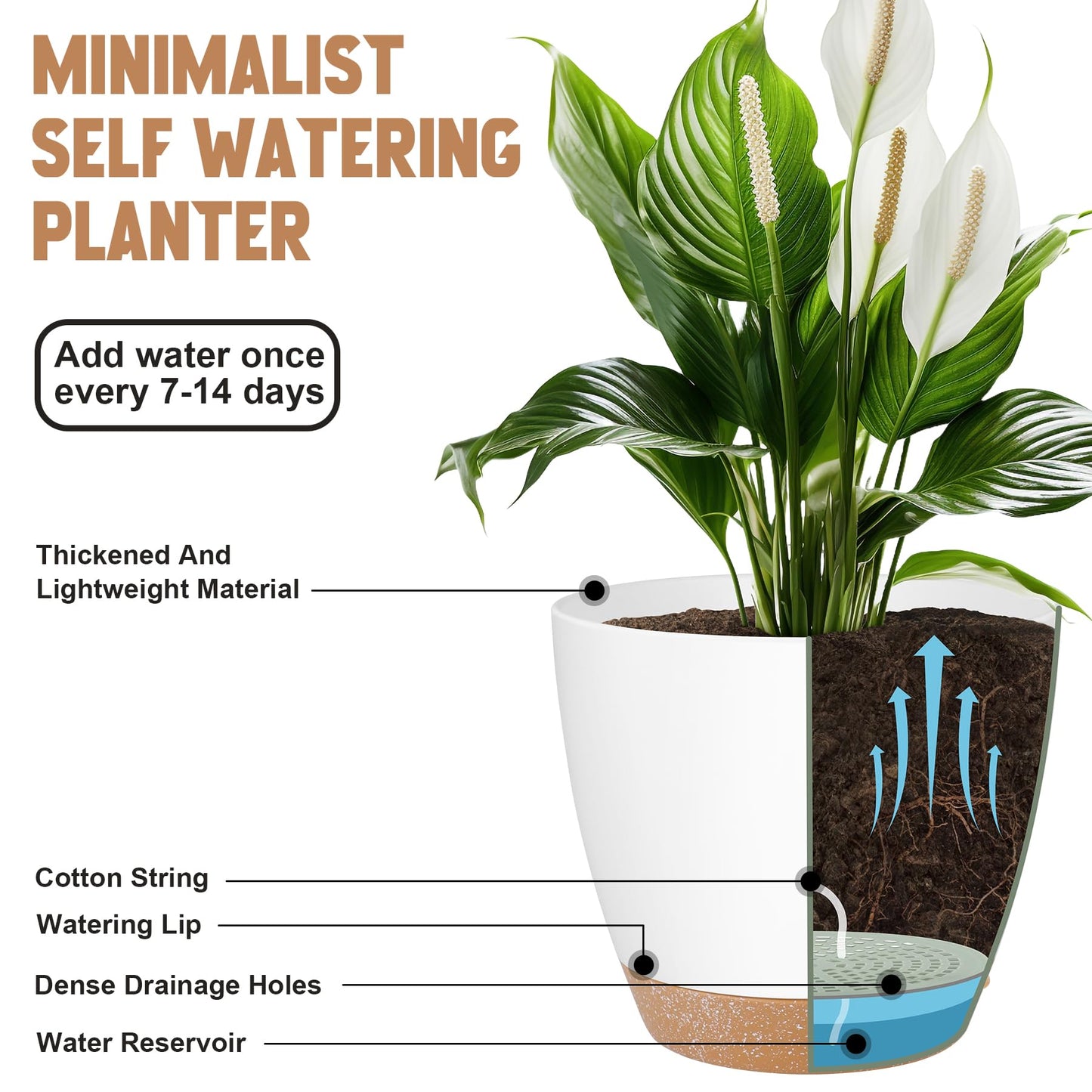 Plant Pots 10/9/8/7.5/7 Inch Self Watering Pots, Set of 5 Plastic Planters with Drainage Holes and Saucers,Plastic Flower Pots,Nursery Planting Pot for Indoor Out Door Plants（Green）