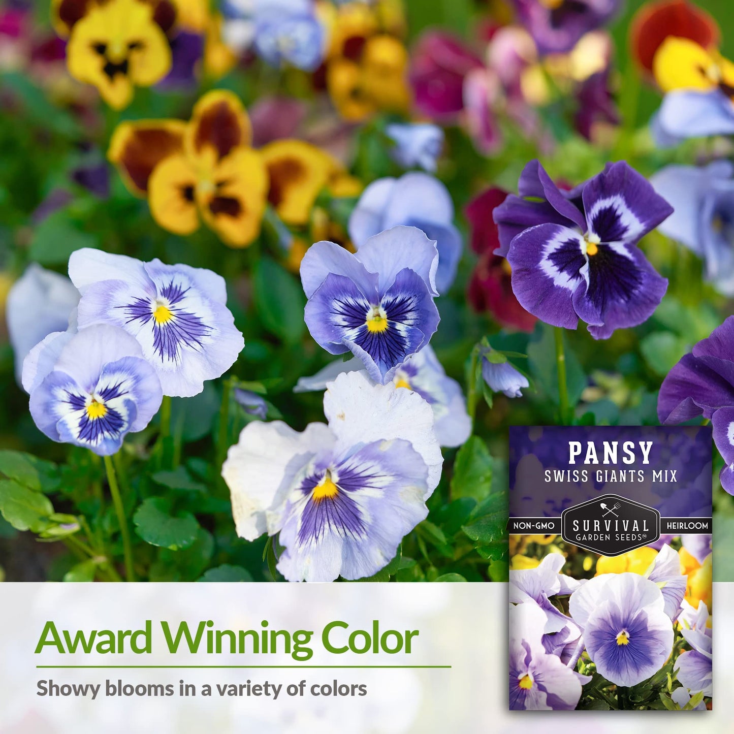 Survival Garden Seeds - Swiss Giant Mix Pansy Seed for Planting - Packet with Instructions to Plant and Grow Beautiful and Edible Pansies in Your Home Vegetable Garden - Non-GMO Heirloom Variety