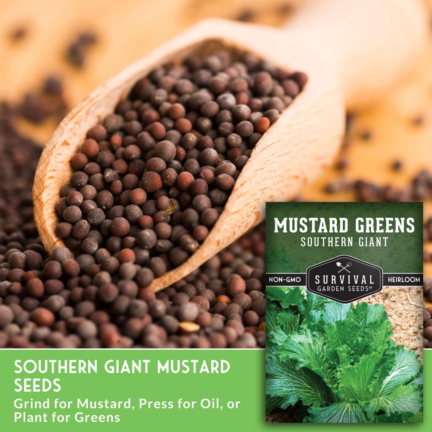 Southern Giant Mustard Green Seeds for Planting – Heirloom Non-GMO Spicy Greens, Heat Tolerant and Slow to Bolt for Home Vegetable Gardens - Survival Garden Seeds (2 Packs)