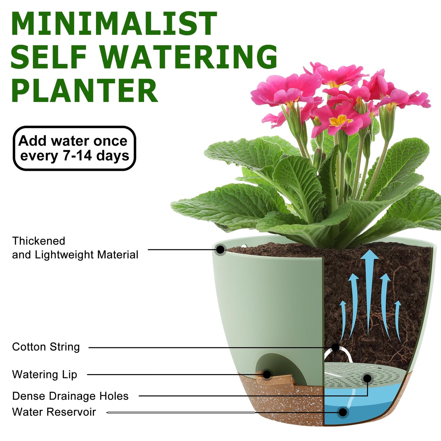 Plant Pots 10/9/8/7.5/7 Inch Self Watering Pots, Set of 5 Plastic Planters with Drainage Holes and Saucers,Plastic Flower Pots,Nursery Planting Pot for Indoor Out Door Plants（Green）