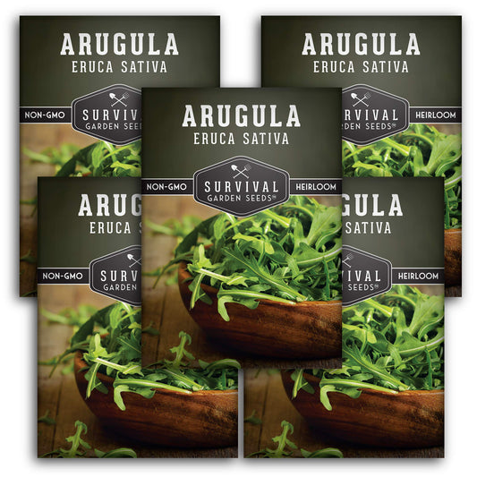 Survival Garden Seeds - Arugula Seeds for Planting - 2 Packs with Instructions to Grow Garden Rocket Green Leafy Vegetables in Your Home Vegetable Garden - Non-GMO Heirloom