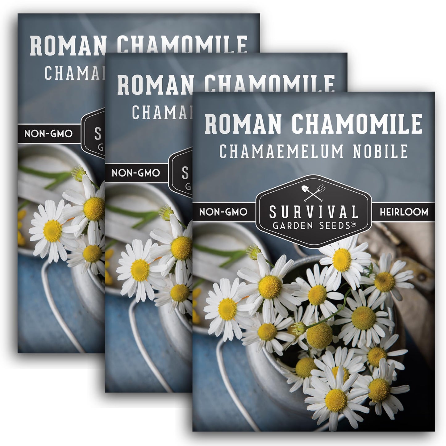 Roman Chamomile Seed for Planting - 3 Packets with Instructions to Plant & Grow Calming Medicinal Herbs in Your Home Vegetable Garden - Non-GMO Heirloom Variety - Survival Garden Seeds