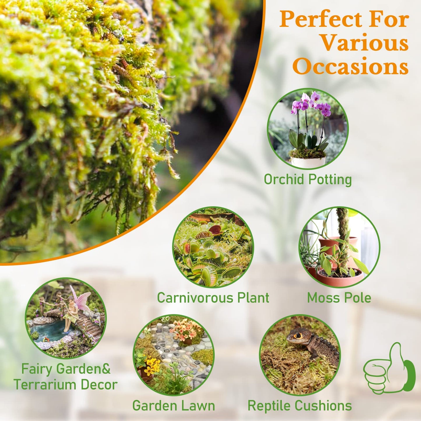 Riare 2.2 LB Premium Sphagnum Moss for Plants- 40QT Natural Long Fibered Sphagnum Peat Moss Plants Moss Dried, Carnivorous Plants Moss Orchid Potting Mix for Orchids, Carnivorous Plants, Succulent