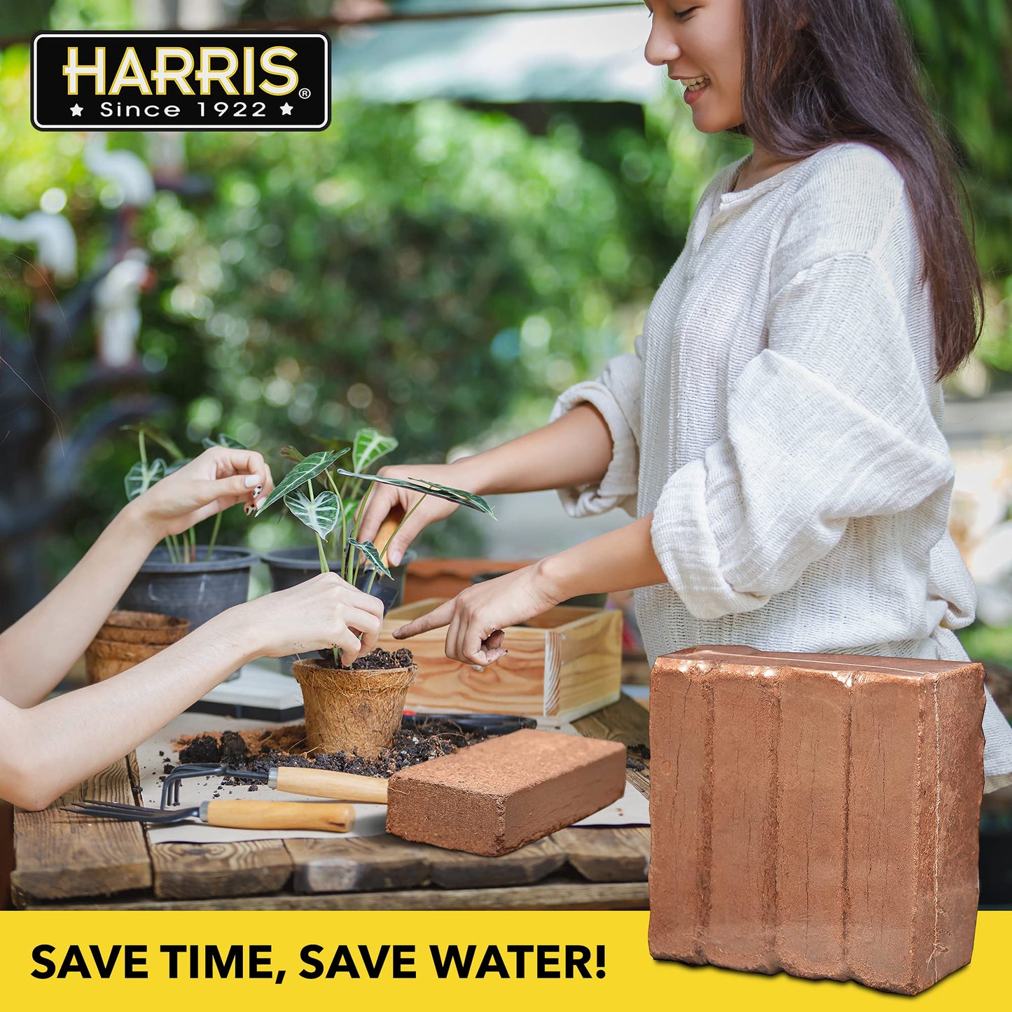 Harris Coco Coir Pith, 4 Bricks Expand to 9 Gallons of Coconut Coir, Coconut Fiber