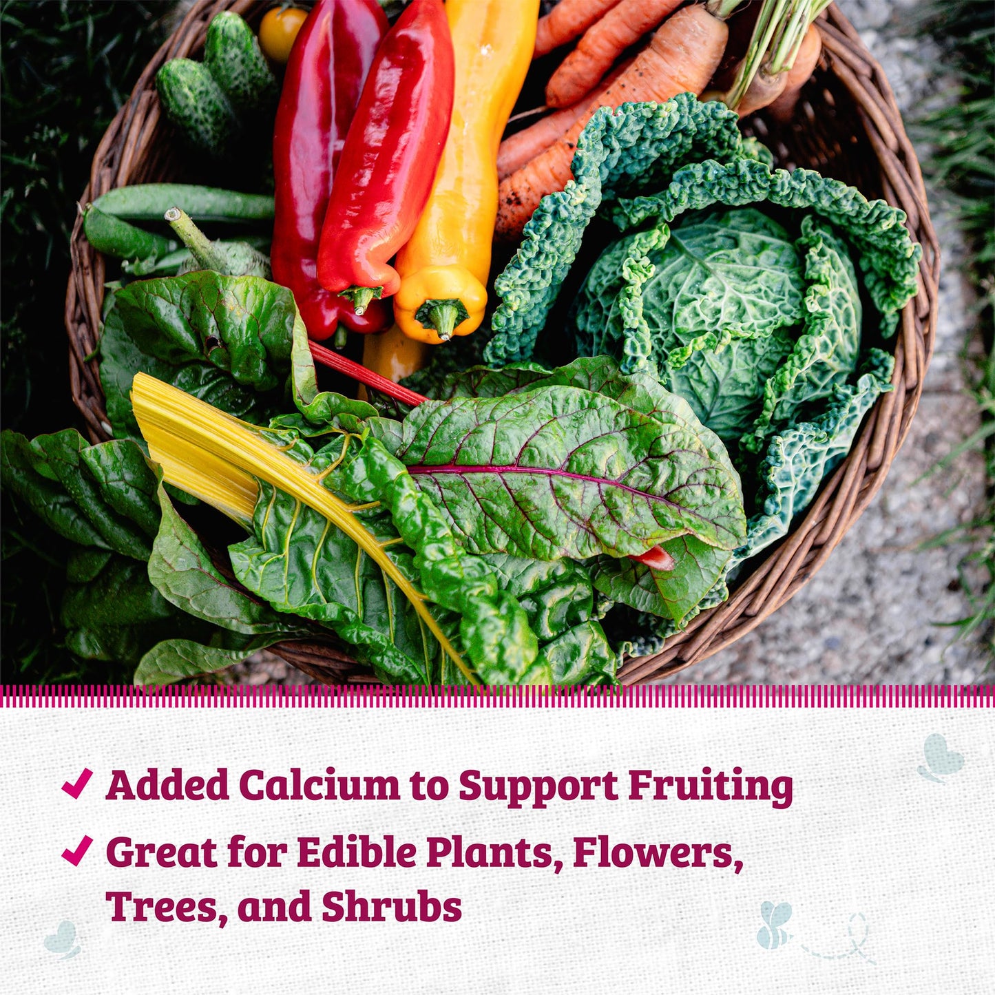 Back to the Roots Organic Worm Castings for Plants, Natural Fertilizer and Soil Enhancer for Gardening, Made in The USA, 5lb