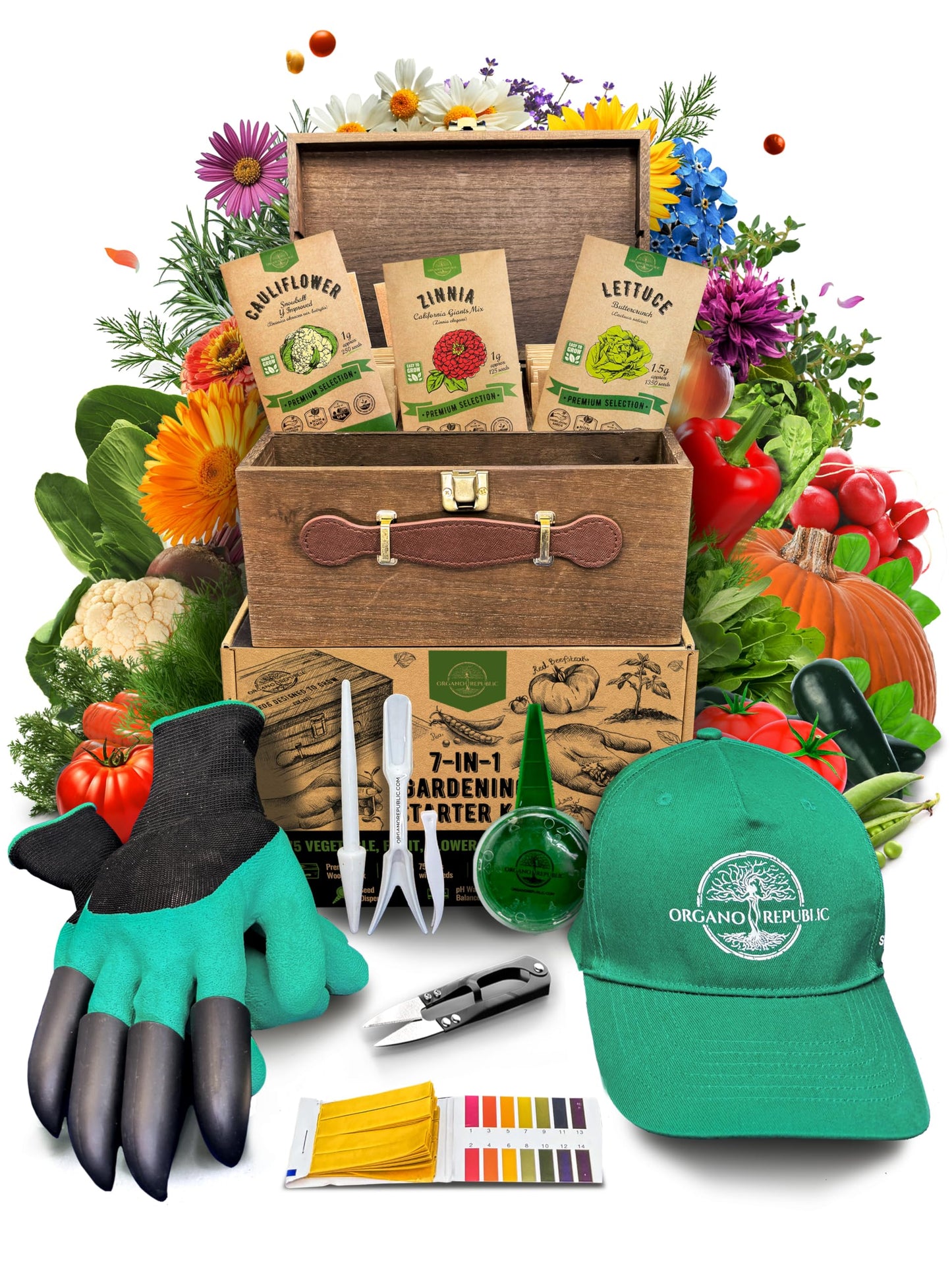 35 Medicinal & Tea Herb Seeds Variety Pack for Indoor & Outdoors. 16,335+ Non-GMO Heirloom Garden Seeds: Anise, Bergamot, Borage, Cilantro, Chamomile, Dandelion, Rosemary Seeds & More