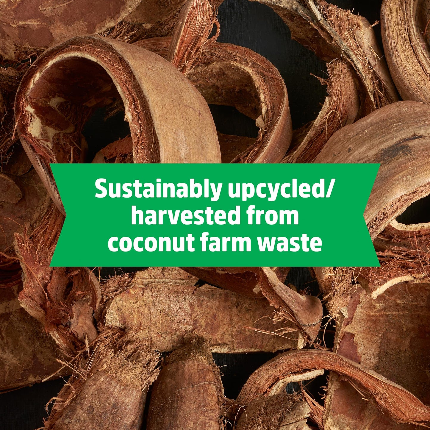 Back to the Roots 100% Organic Potting Mix (Value 12 Quart) | Premium Blend | Made in The USA