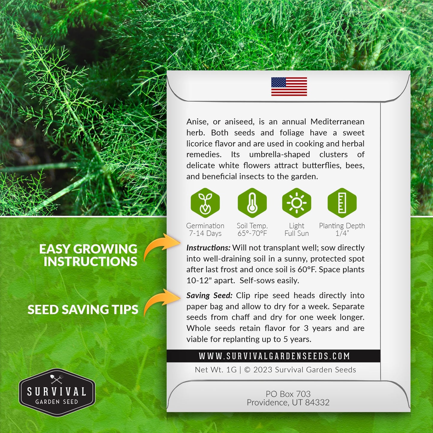 1 Pack Anise Seed for Planting with Instructions to Grow Aniseed in Your Home Herb Garden - Non-GMO Heirloom - Medicinal and Culinary - Unique Plant Seeds - Survival Garden Seeds