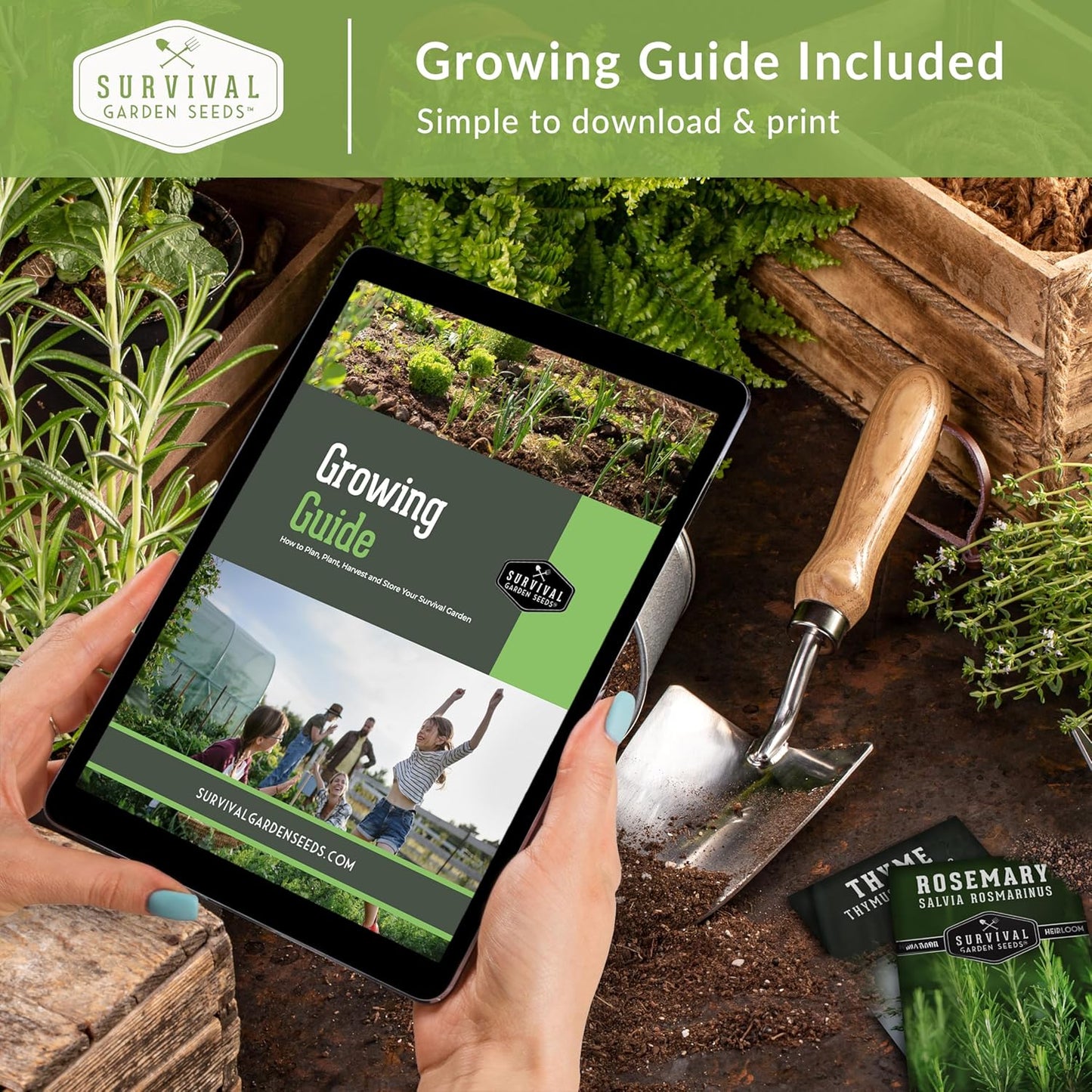 Cool Weather Garden Seeds Collection | Fall & Spring Planting – Grow Broccoli, Kale, Lettuce, Spinach & Cilantro | Cold Hardy Winter Vegetables – Survival Garden Seeds