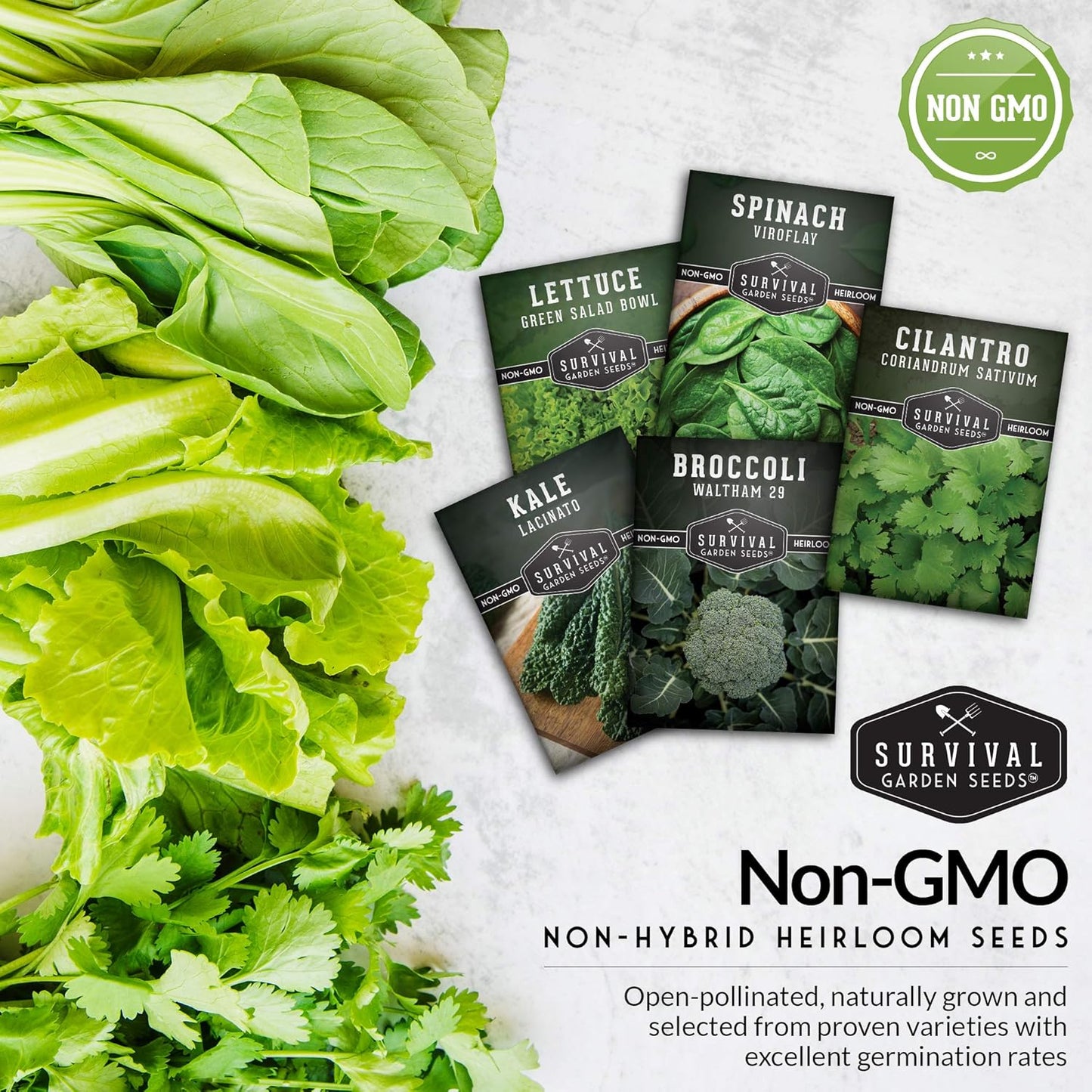 Cool Weather Garden Seeds Collection | Fall & Spring Planting – Grow Broccoli, Kale, Lettuce, Spinach & Cilantro | Cold Hardy Winter Vegetables – Survival Garden Seeds