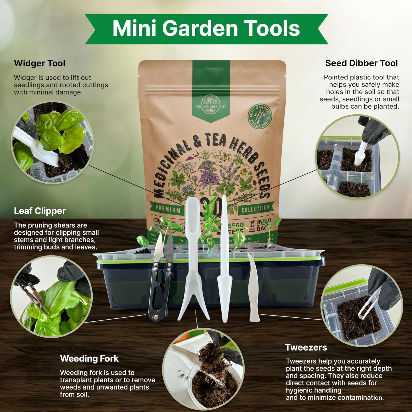 35 Medicinal & Tea Herb Seeds Variety Pack for Indoor & Outdoors. 16,335+ Non-GMO Heirloom Garden Seeds: Anise, Bergamot, Borage, Cilantro, Chamomile, Dandelion, Rosemary Seeds & More