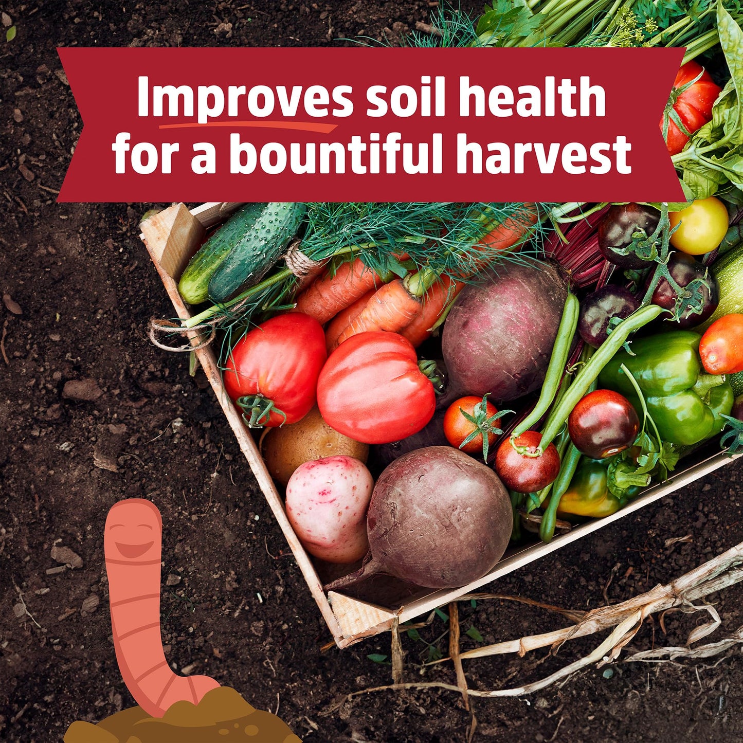 Back to the Roots Organic Worm Castings for Plants, Natural Fertilizer and Soil Enhancer for Gardening, Made in The USA, 5lb