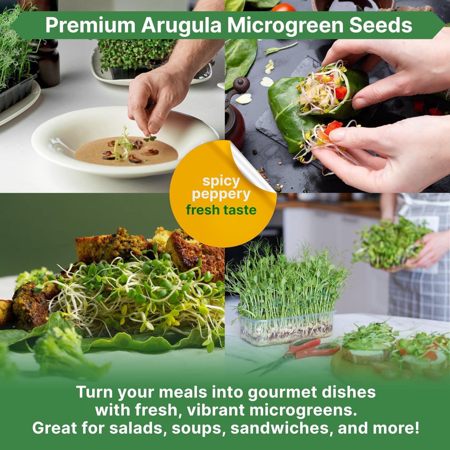 Organo Republic Arugula Sprouting & Microgreens Seeds - 55,000 Non-GMO Heirloom Seeds, Sprouts in 4 oz Resealable Bag for Planting & Growing Microgreens in Soil, Coconut Coir, Aeroponic & Hydroponic