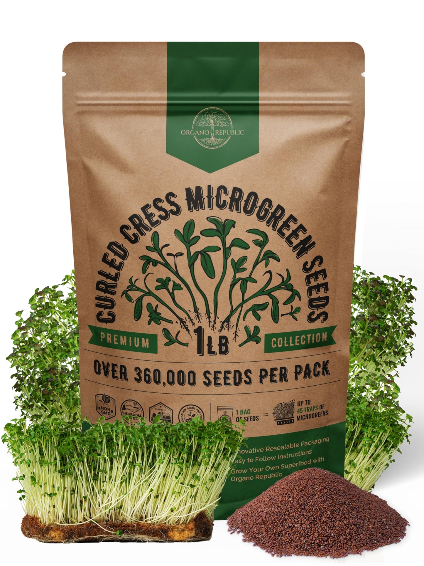 Organo Republic Arugula Sprouting & Microgreens Seeds - 55,000 Non-GMO Heirloom Seeds, Sprouts in 4 oz Resealable Bag for Planting & Growing Microgreens in Soil, Coconut Coir, Aeroponic & Hydroponic