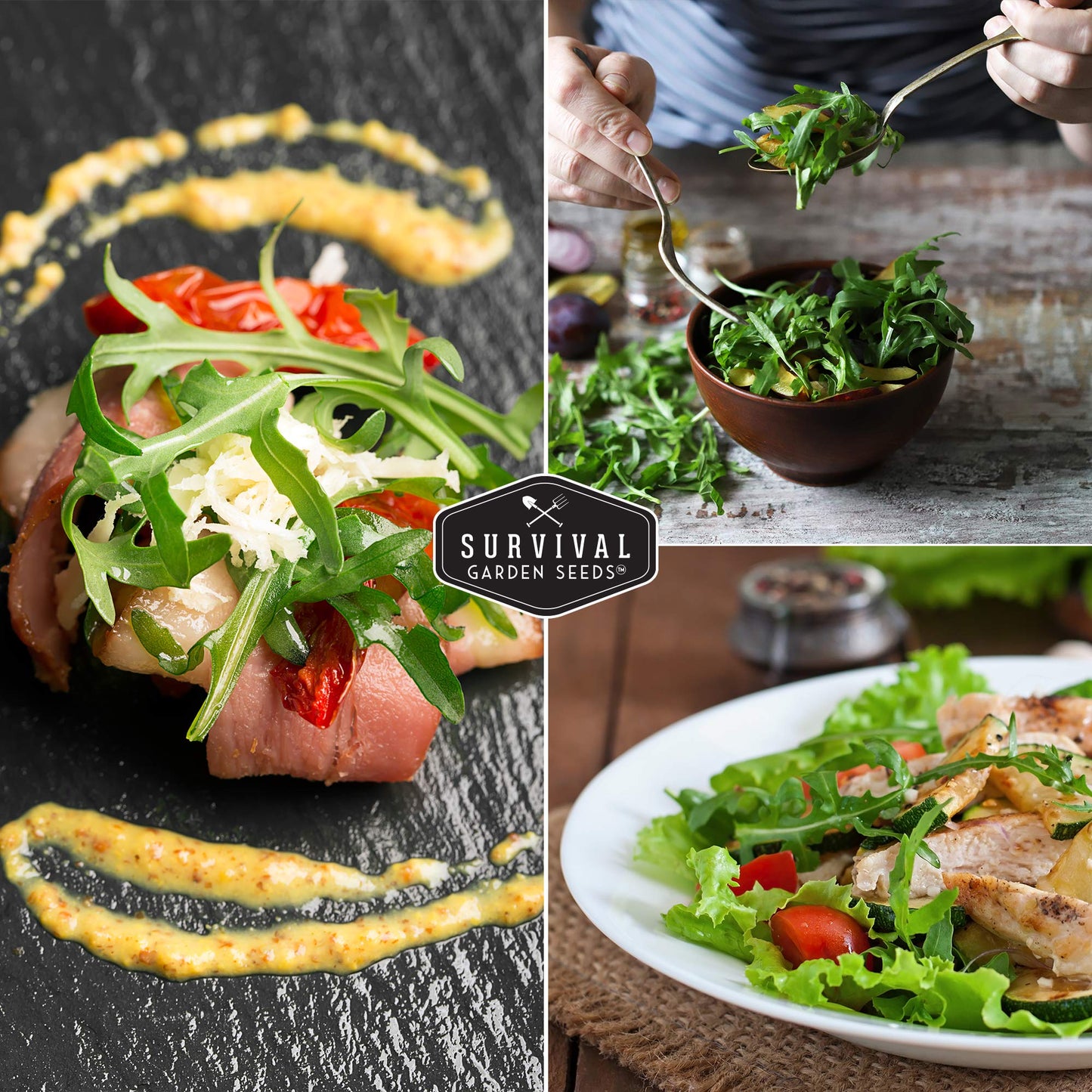 Survival Garden Seeds - Arugula Seeds for Planting - 2 Packs with Instructions to Grow Garden Rocket Green Leafy Vegetables in Your Home Vegetable Garden - Non-GMO Heirloom