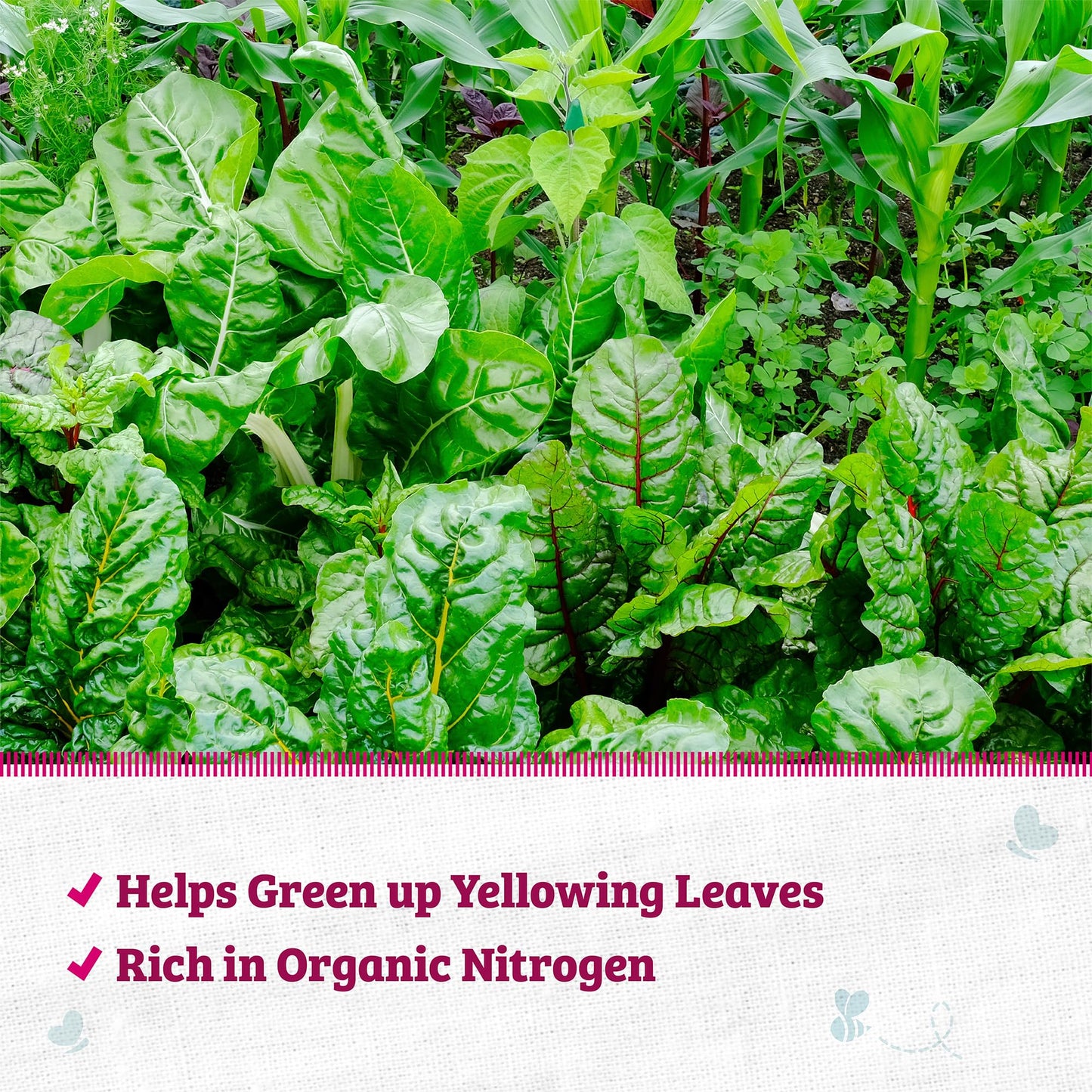 Back to the Roots Organic Worm Castings for Plants, Natural Fertilizer and Soil Enhancer for Gardening, Made in The USA, 5lb