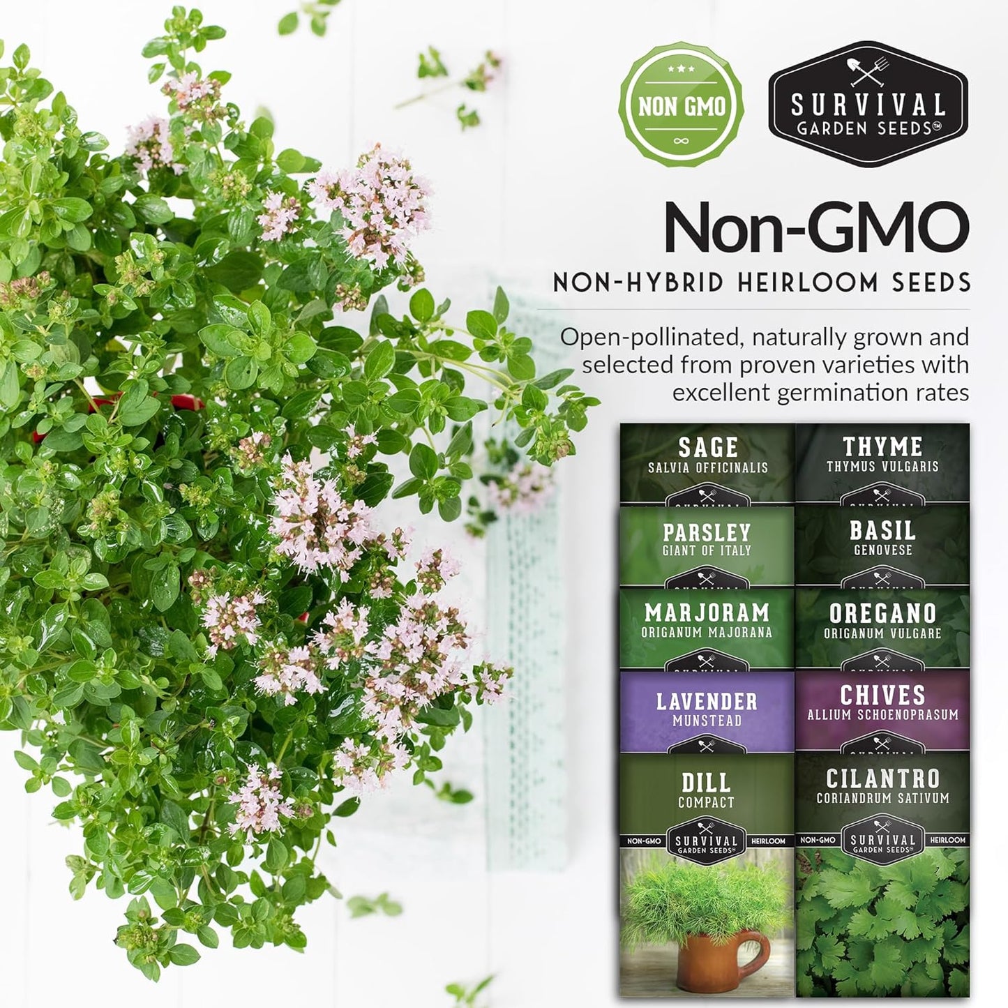 Herb Seeds Variety Pack | 10 Culinary Herbs for Planting – Basil, Cilantro, Lavender, Dill, Parsley, Oregano, Thyme, Sage, Chives, Marjoram – Indoor Kitchen Herb Kit – Survival Garden Seeds